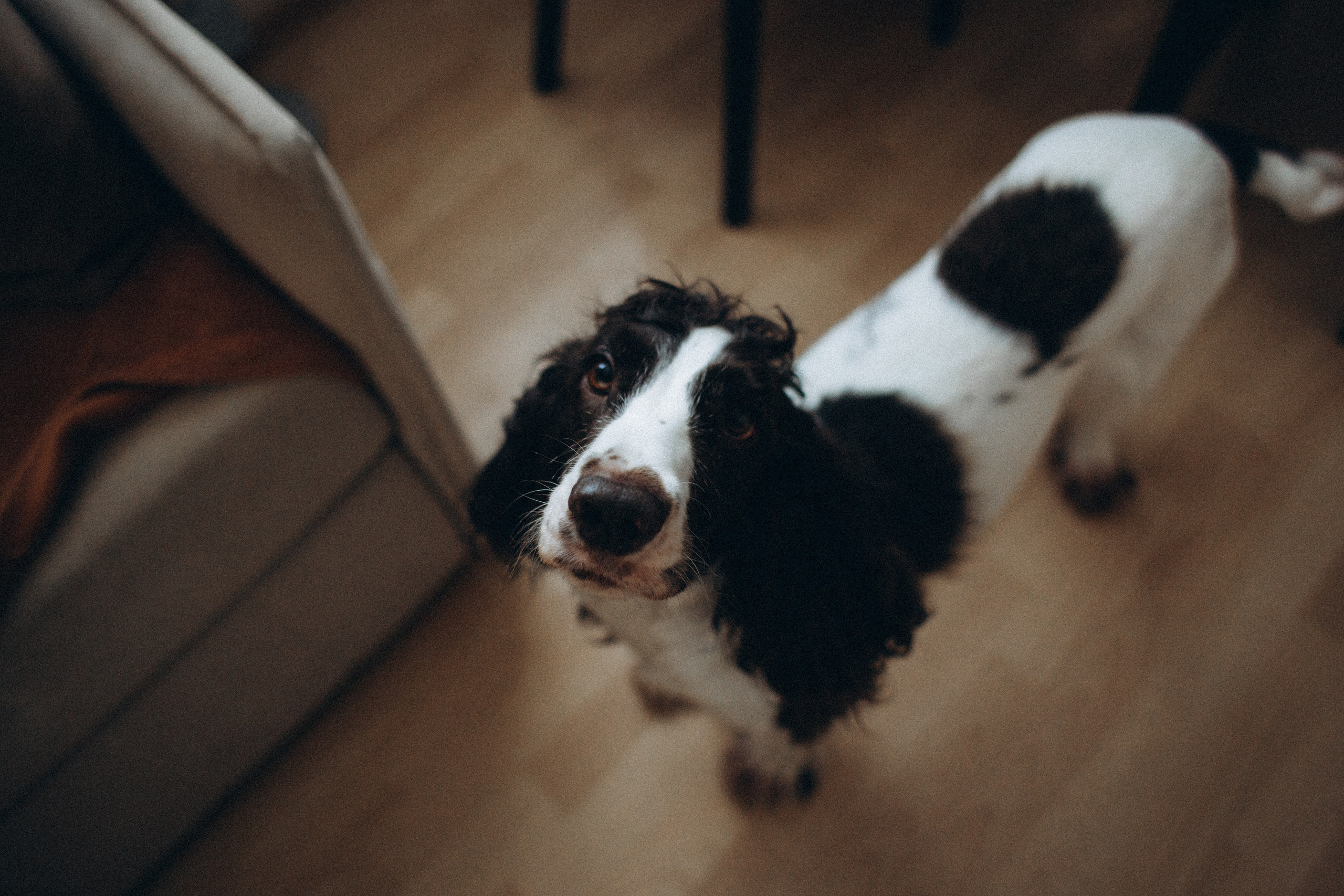 Домашние посиделки. Семейный фотограф Виктория Потехина Москва