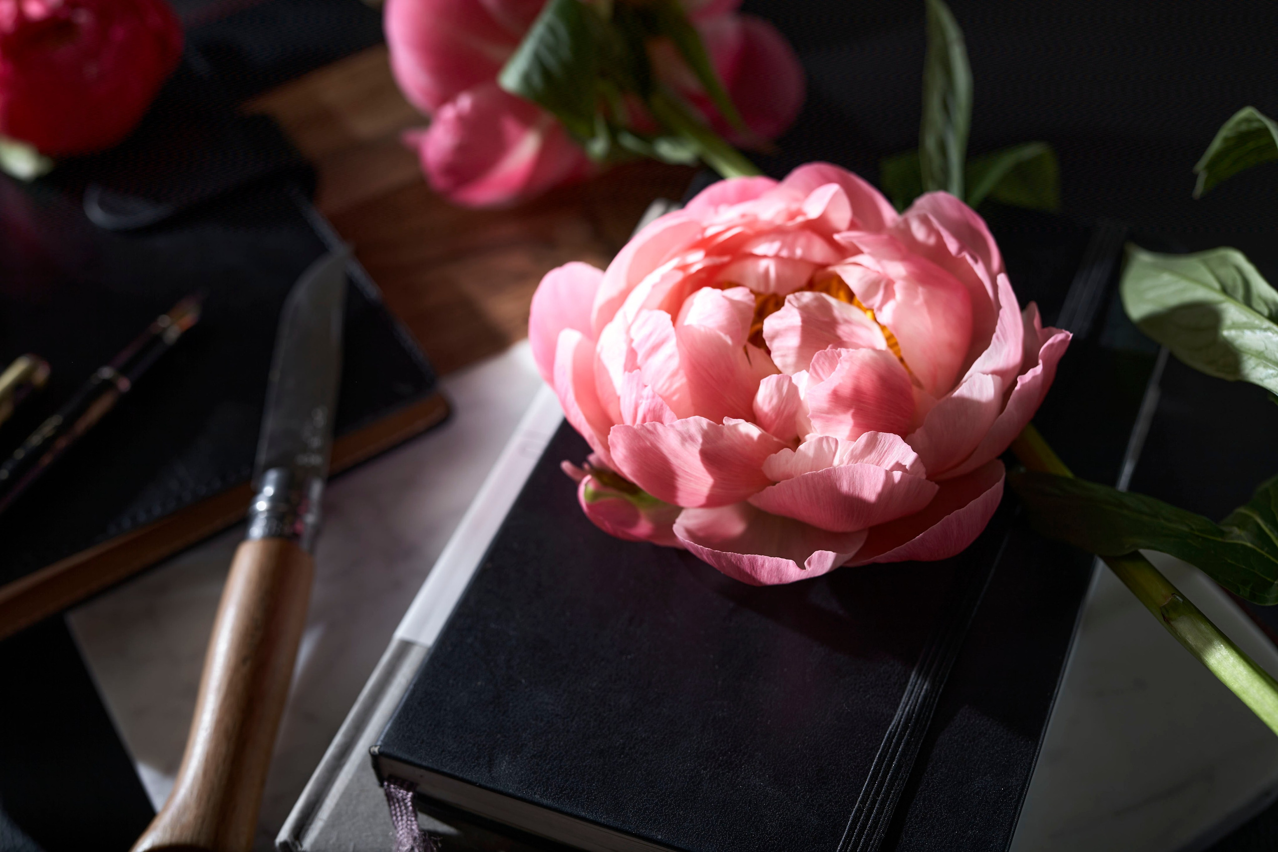 Упражнение с черепом и пионами. Коммерческий и художественный фотограф в Москве Плоскирев Валерий