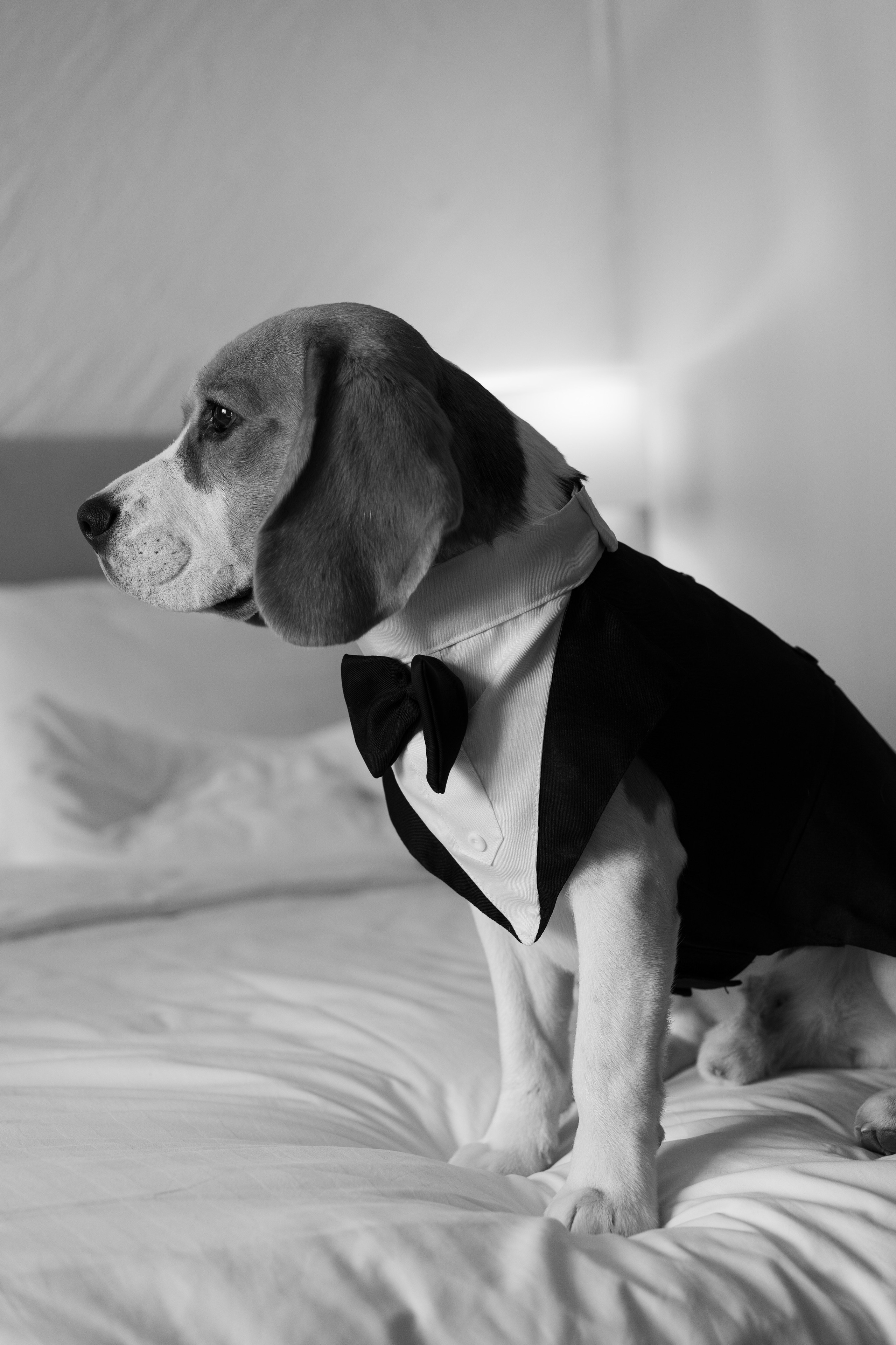 Виктория & Васим. Margosha-ph.ru