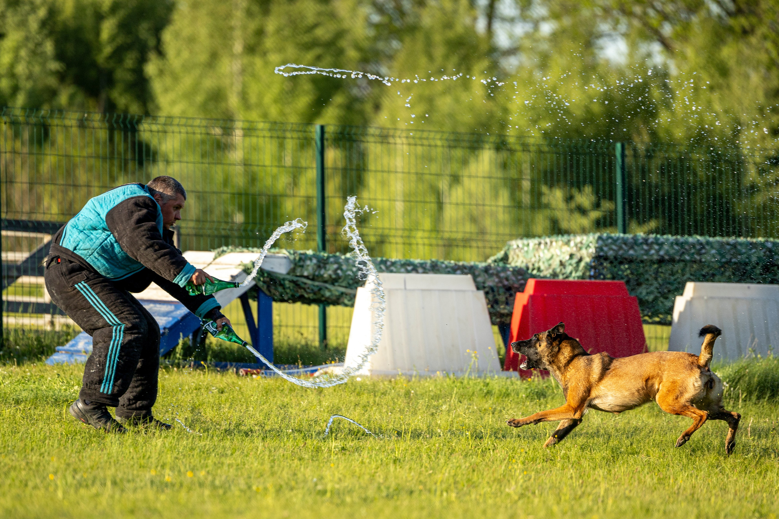 Испытания по мондьорингу в Нижнем Новгороде. Фотограф-анималист Анна Маринич