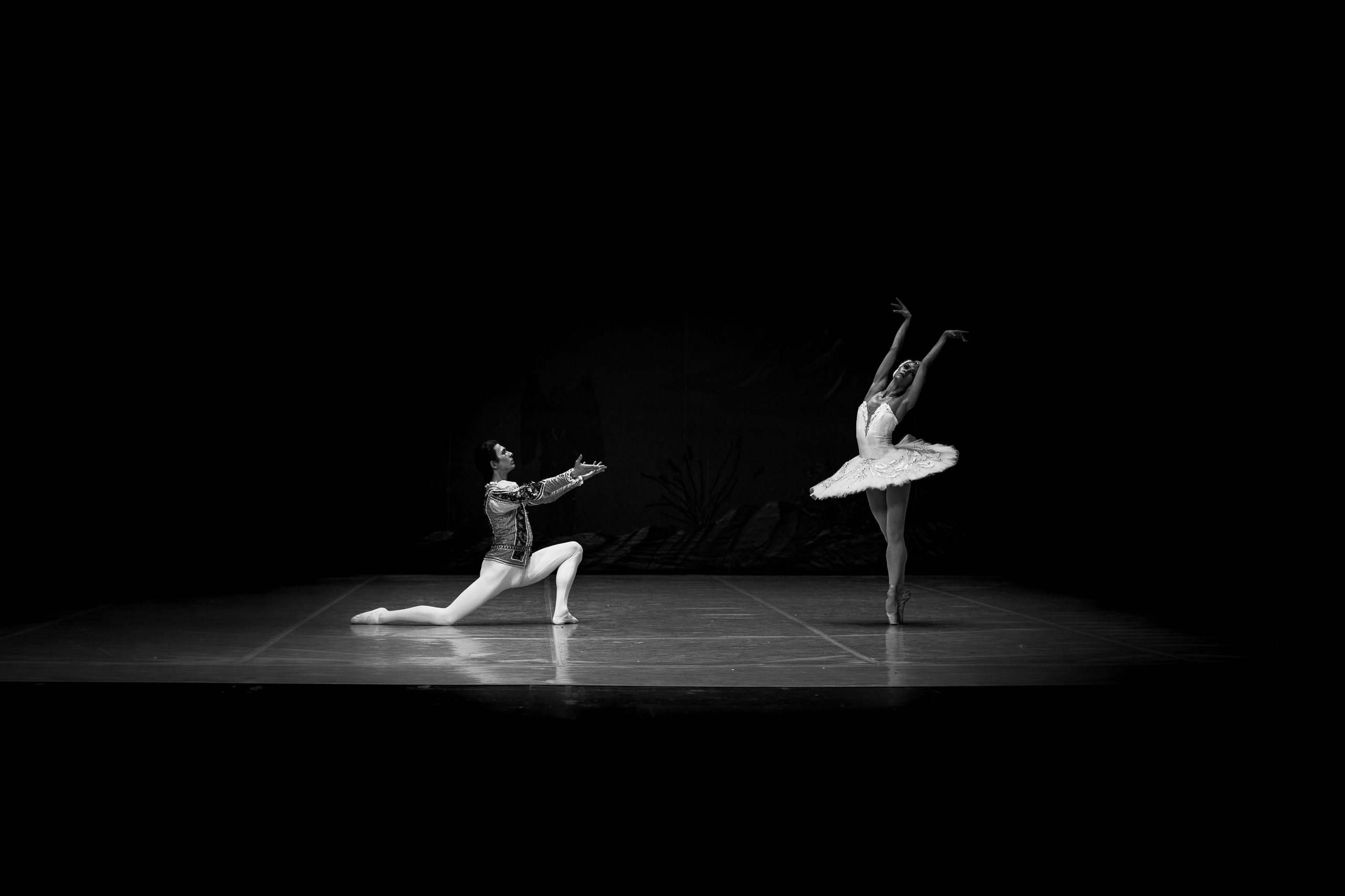 Балет «Лебединое озеро». Наталья Алексеенко. Фотохудожник в Москве. Репортаж, портрет, стрит