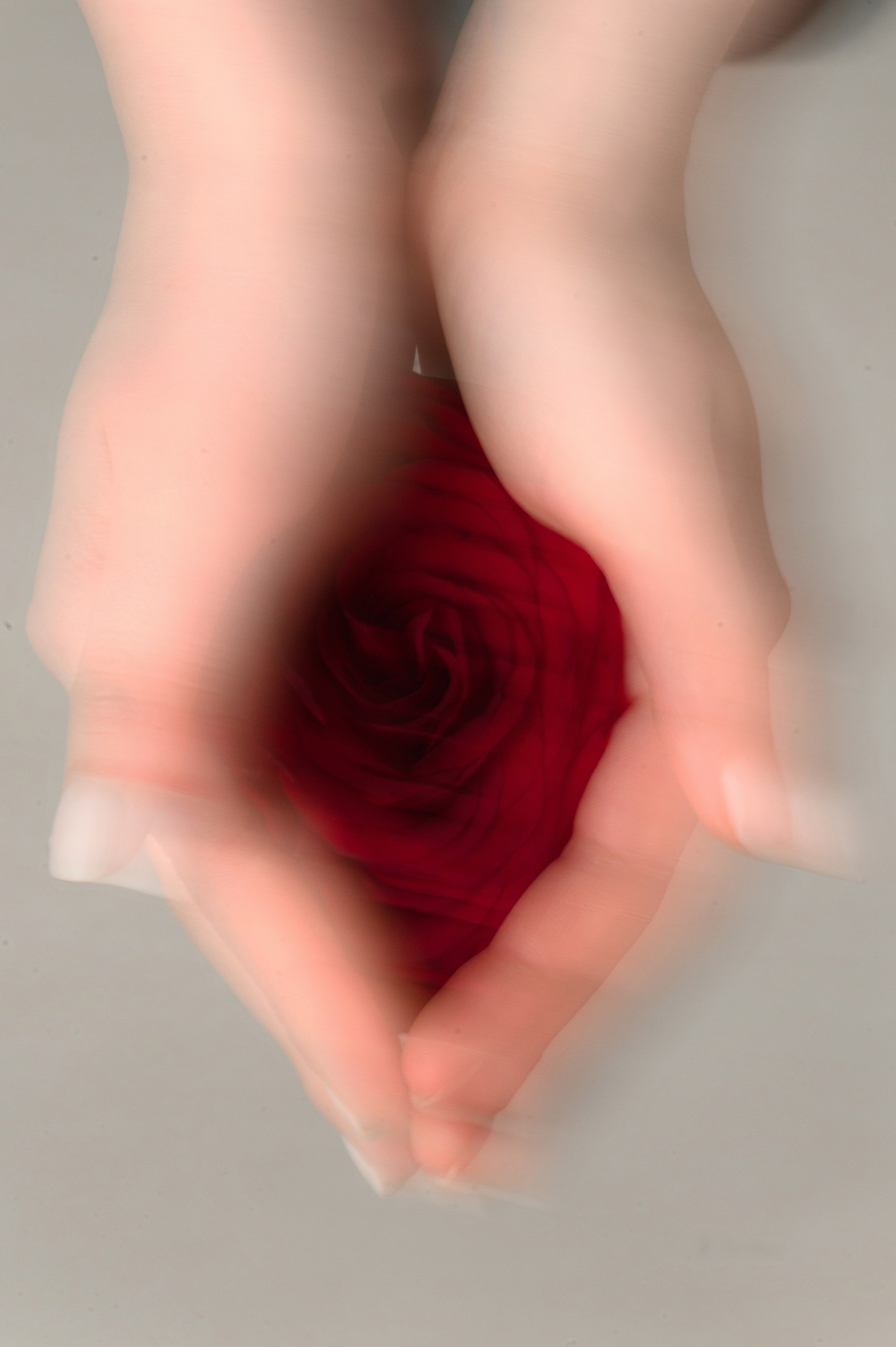 «I ROSE YOU» Нариман и София. Свадебный фотограф и видеограф