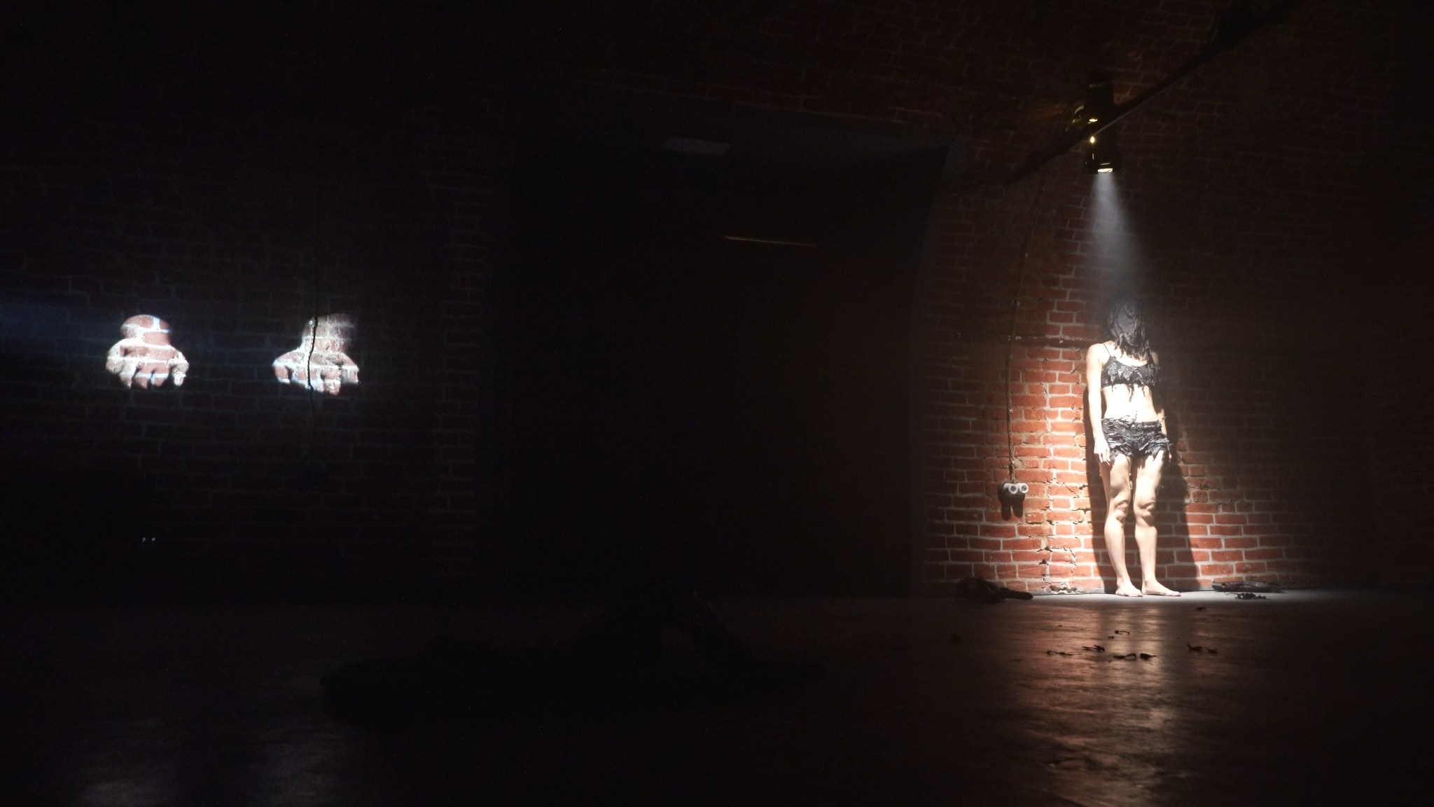 Красное дерево. Фото / Видеосъемка в Москве