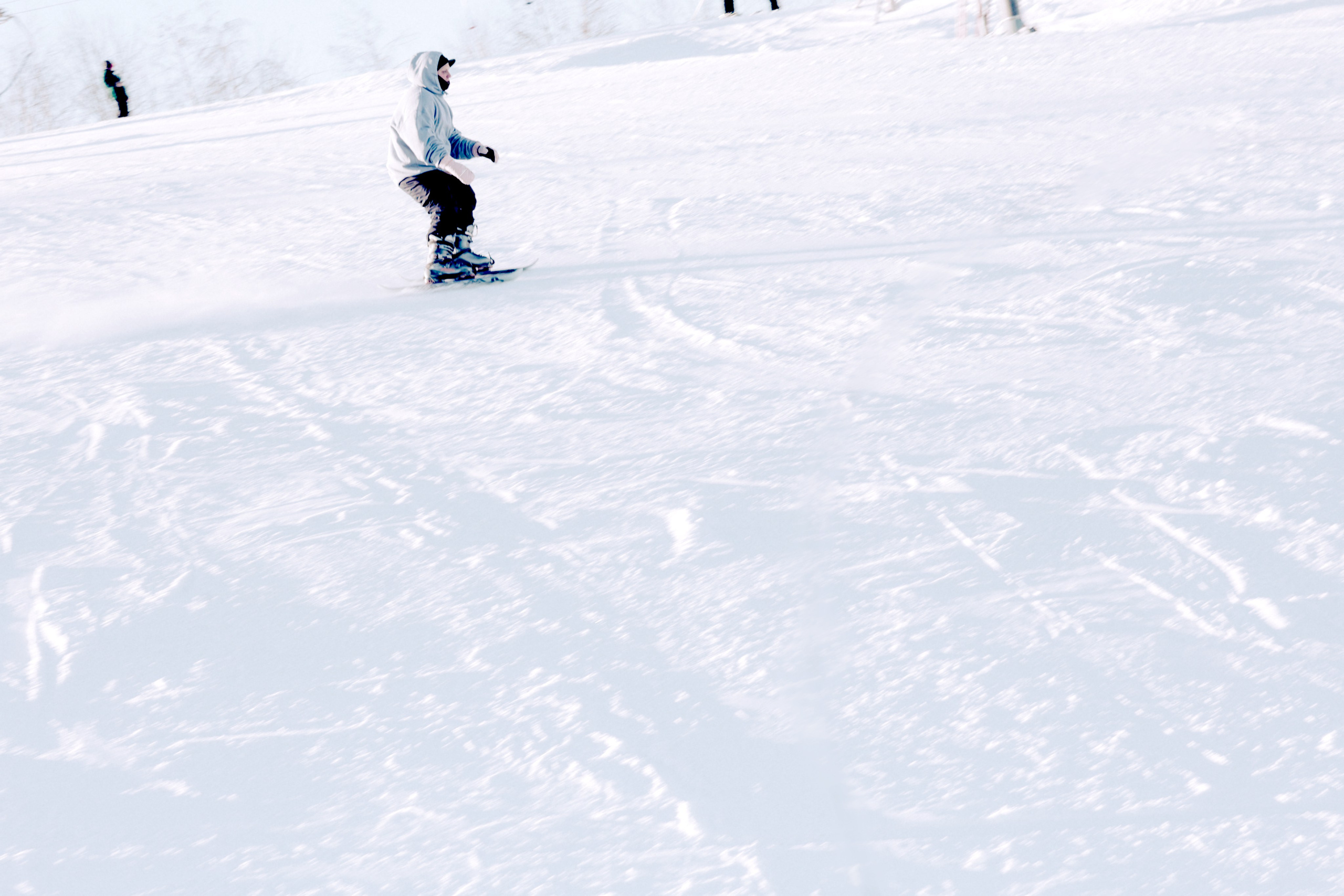 Портреты. Ph___tina