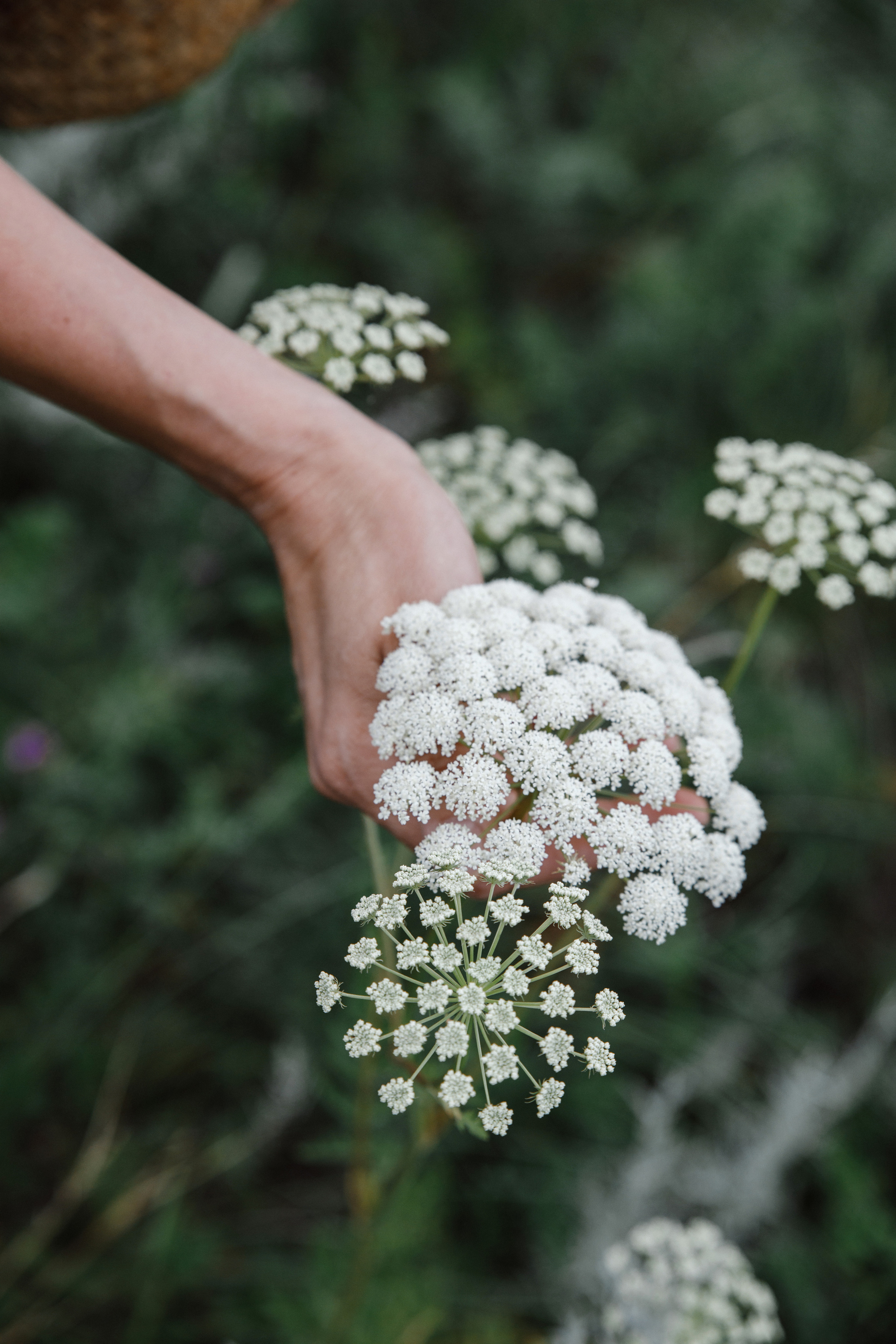 Алёна. Свадебный и портретный фотограф в Новокузнецке Екатерина Авдеева