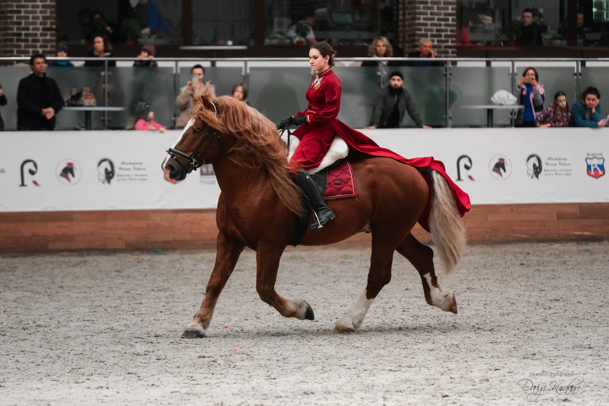 8-я международная выставка Конная Россия. Конный фотограф Куракина Дарья • Фотосессии с лошадьми