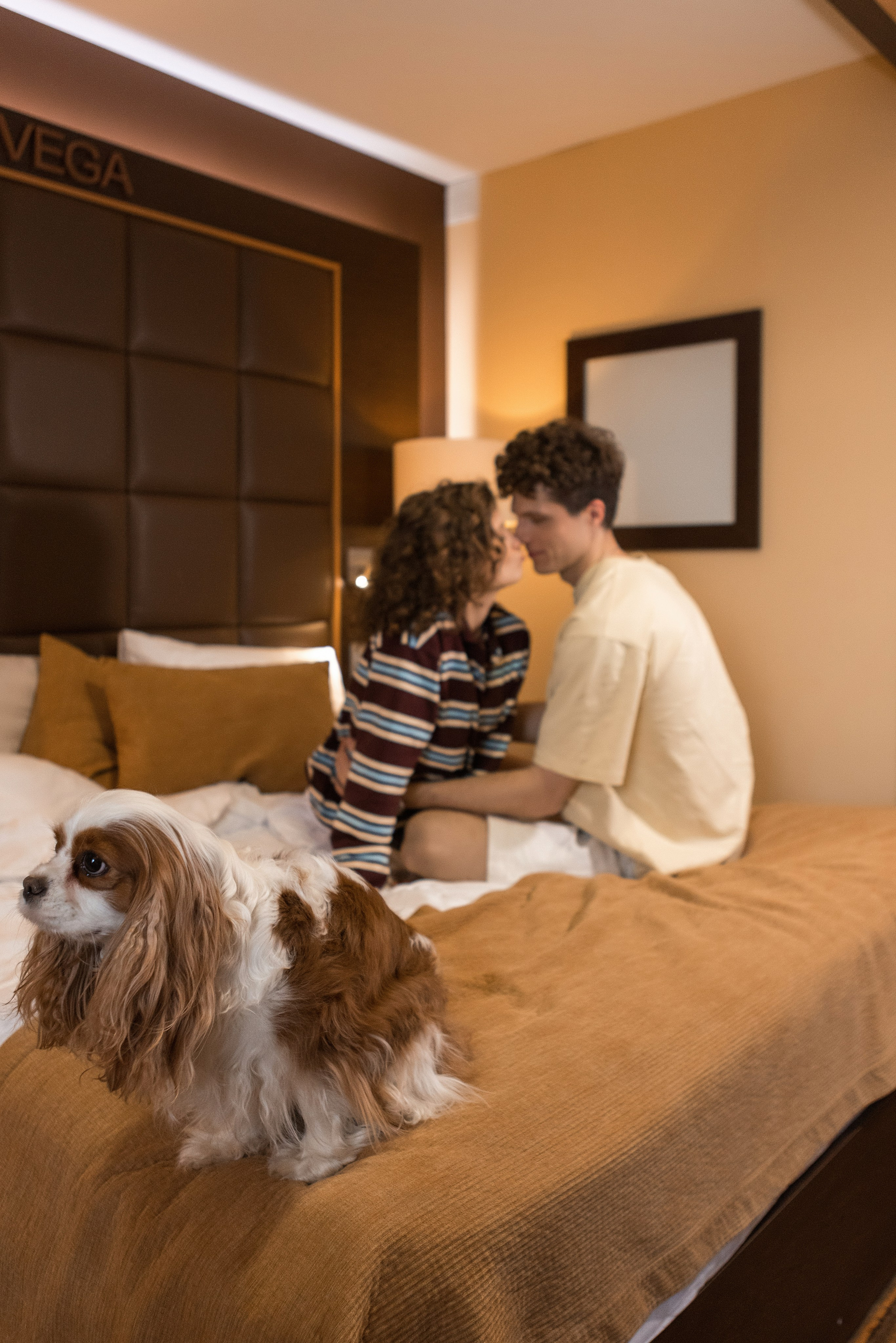 Уютный вечер. Фотограф в г. Чита — Наталья Кириллова