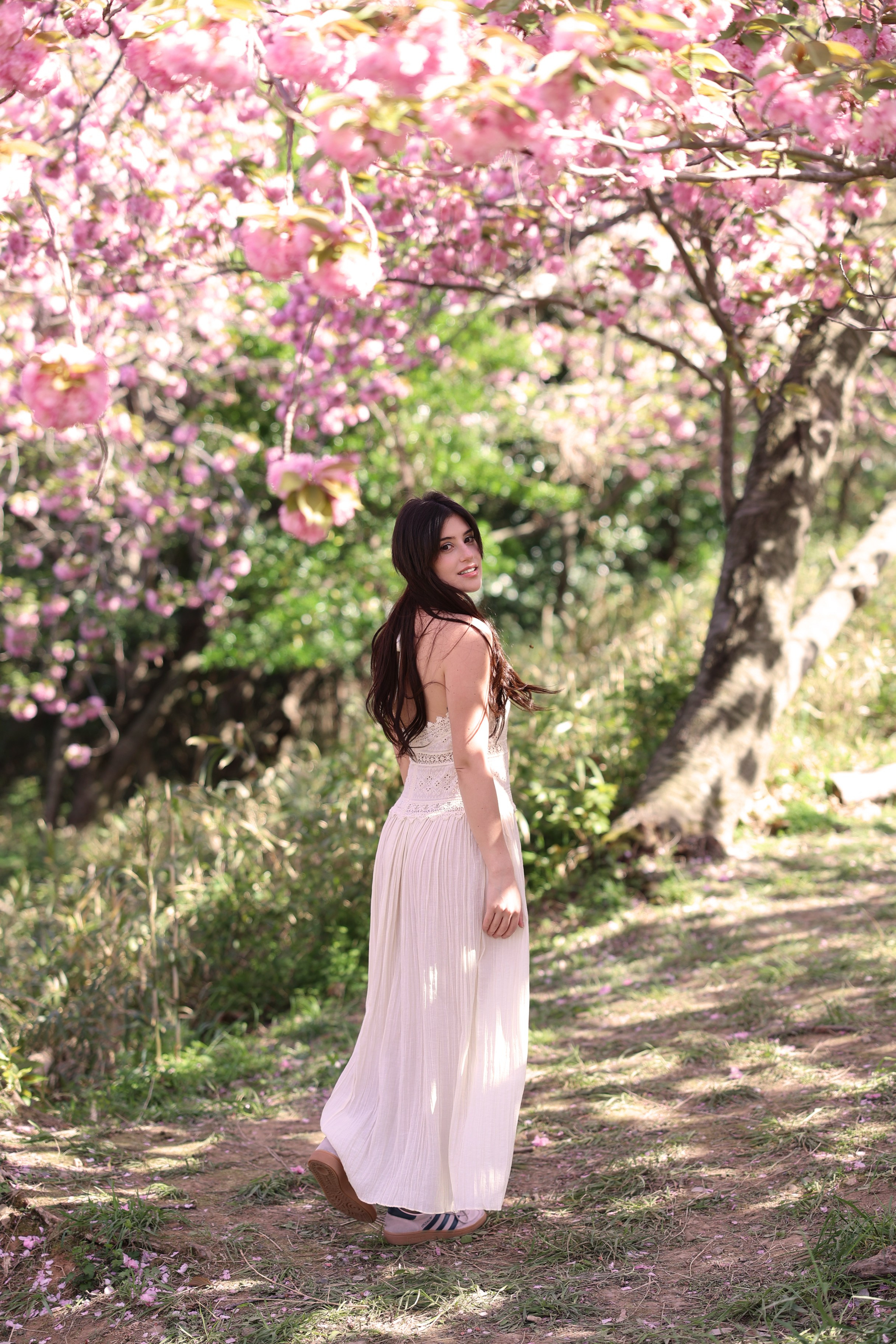 Busan Photographer. Photographer in Busan | Royal Cherry Blossom Solo Photoshoot