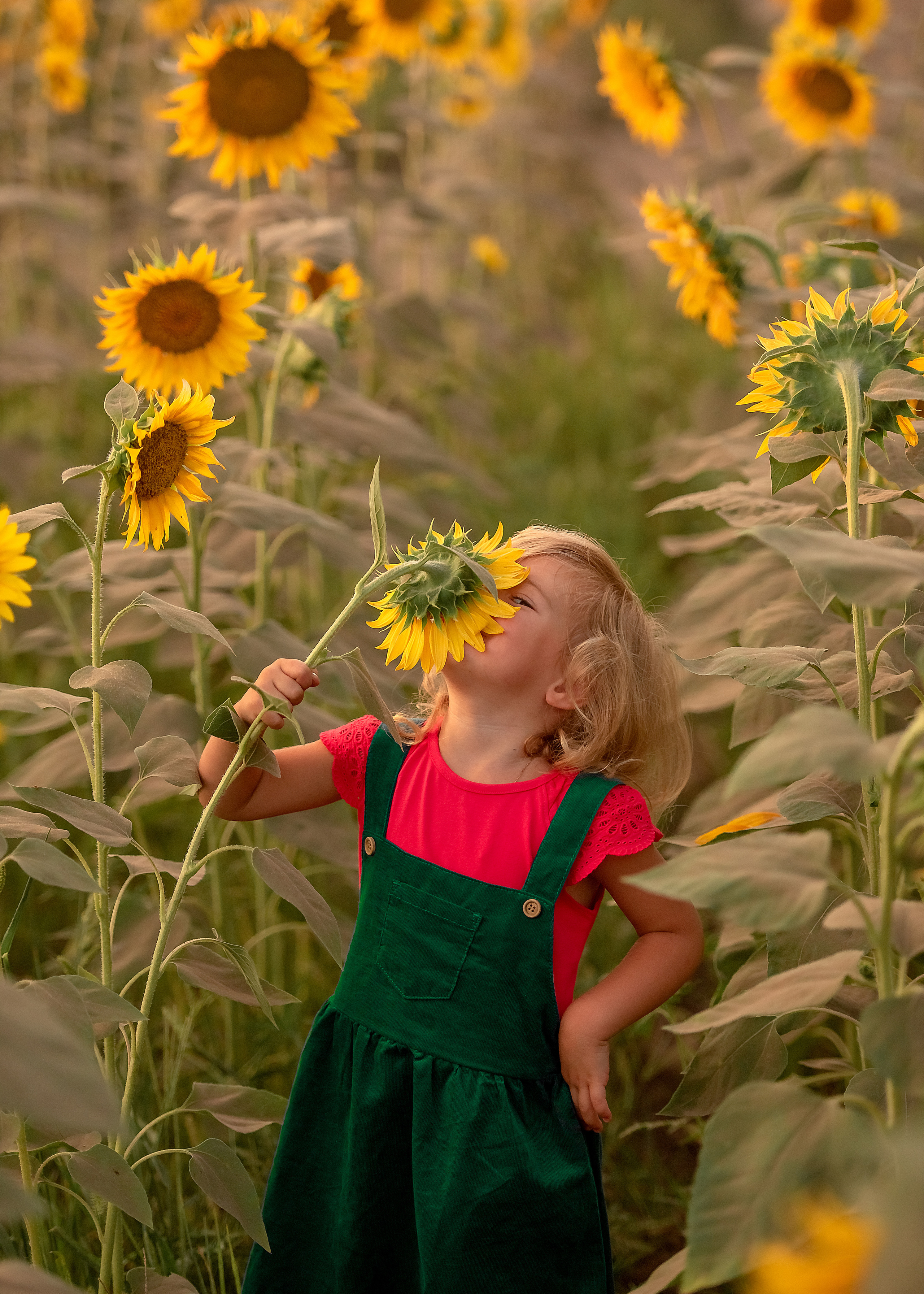 Кирочка. Подсолнухи. Семейный и детский фотограф в Краснодарском крае Натали Фищенко