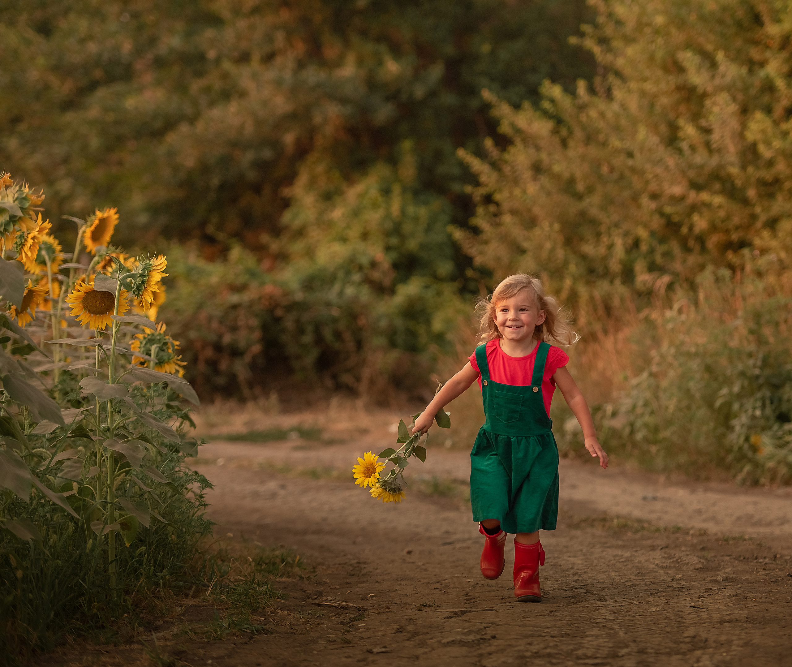 Кирочка. Подсолнухи. Семейный и детский фотограф в Краснодарском крае Натали Фищенко