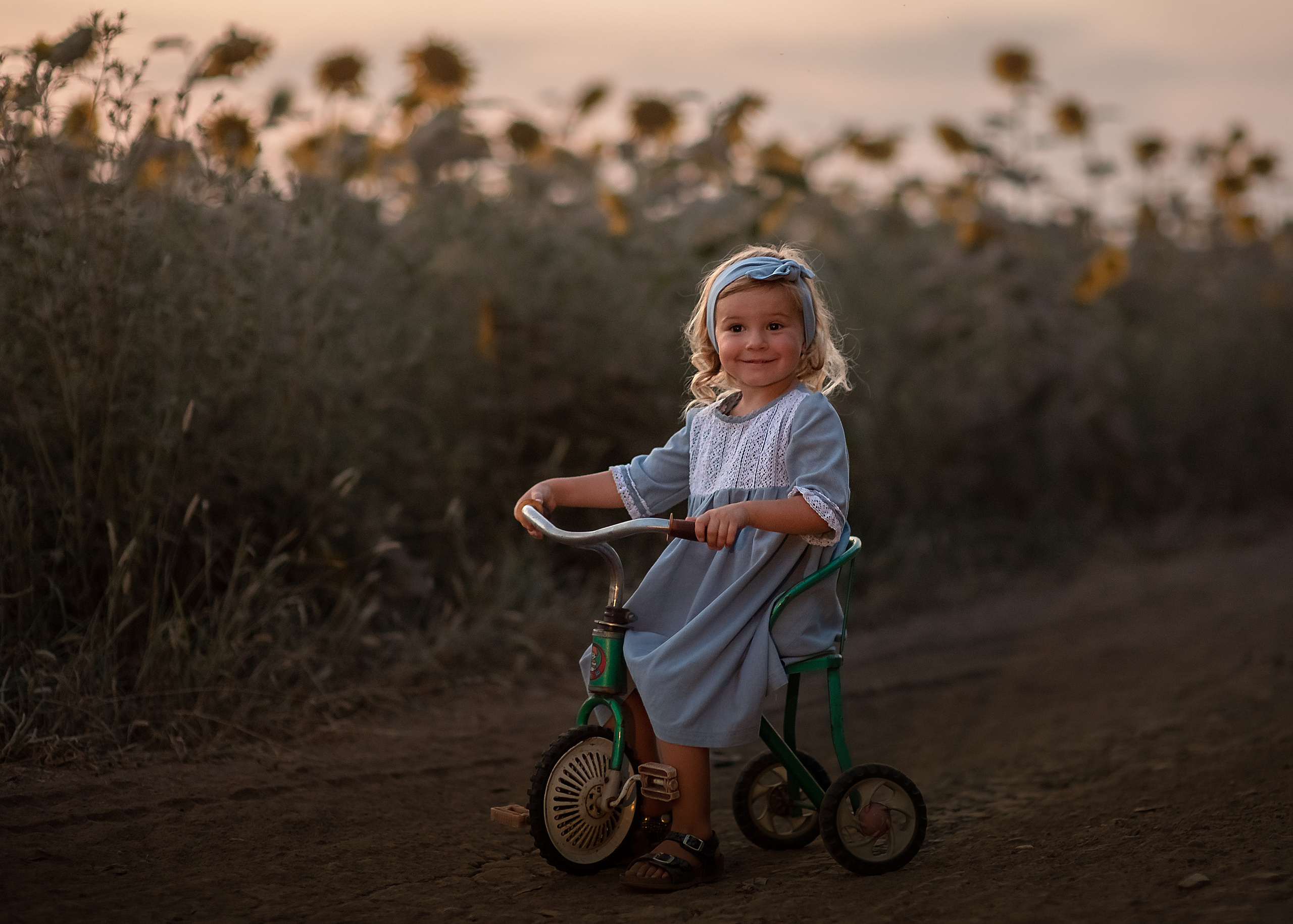 Кирочка. Подсолнухи. Семейный и детский фотограф в Краснодарском крае Натали Фищенко