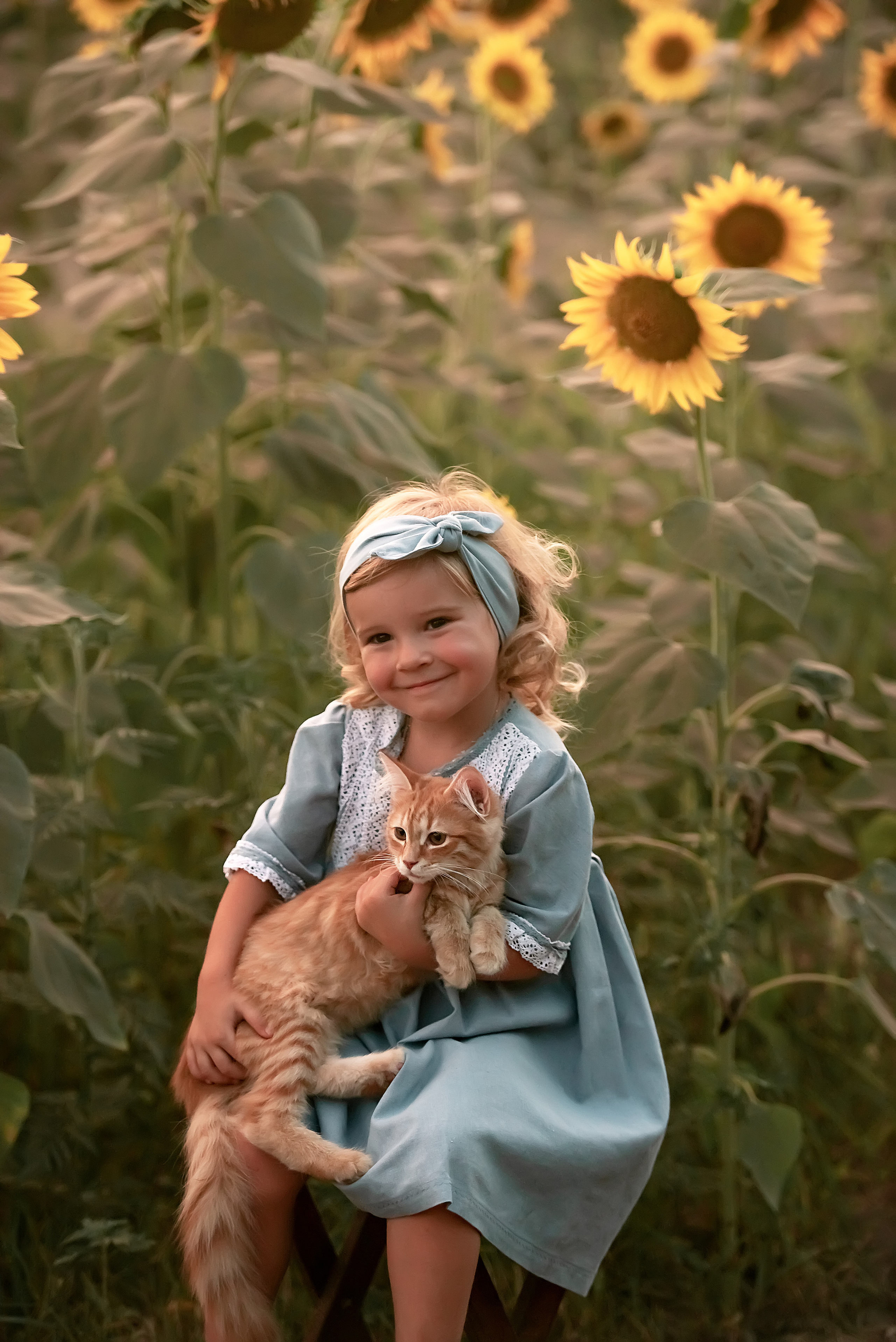 Кирочка. Подсолнухи. Семейный и детский фотограф в Краснодарском крае Натали Фищенко
