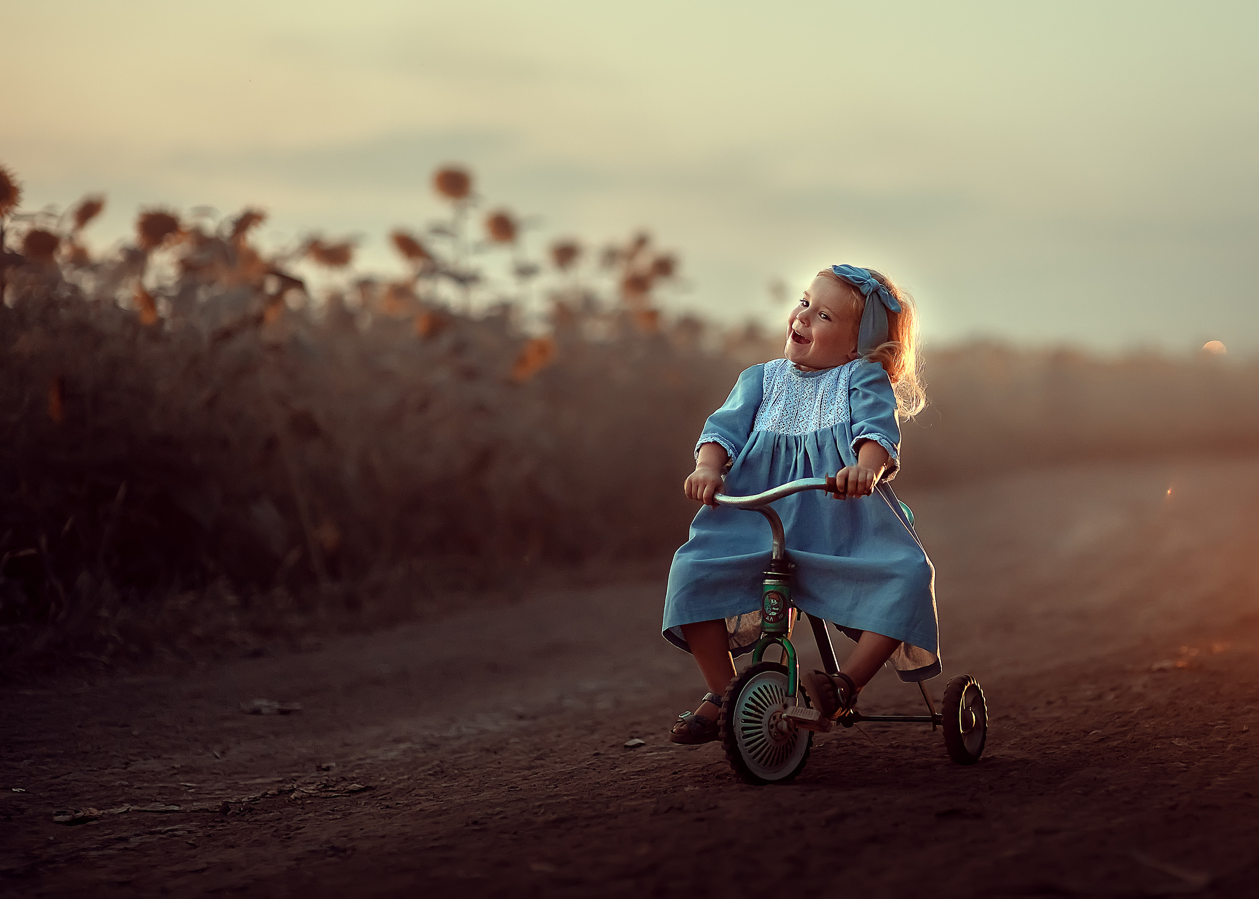 Кирочка. Подсолнухи. Семейный и детский фотограф в Краснодарском крае Натали Фищенко