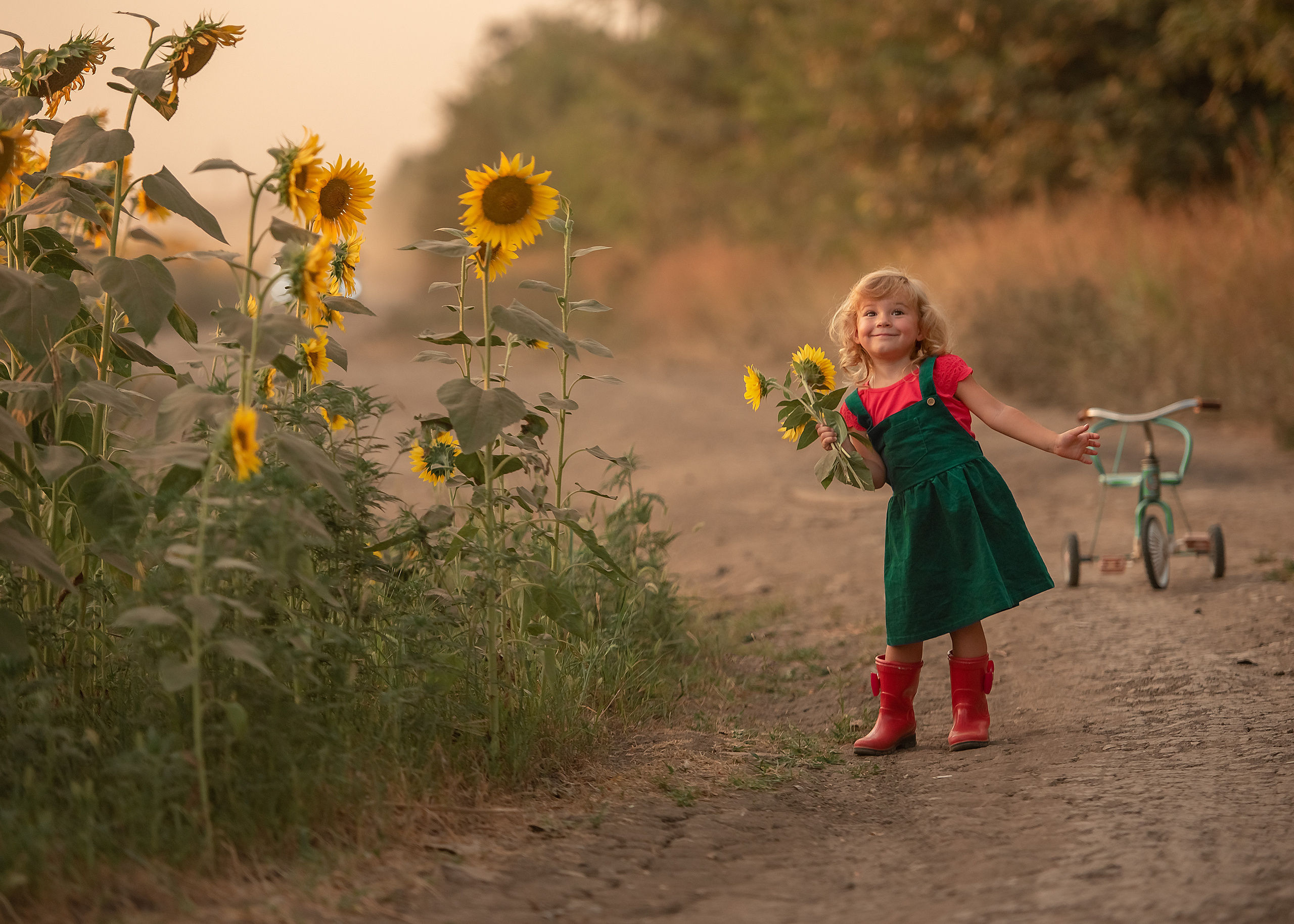 Кирочка. Подсолнухи. Семейный и детский фотограф в Краснодарском крае Натали Фищенко