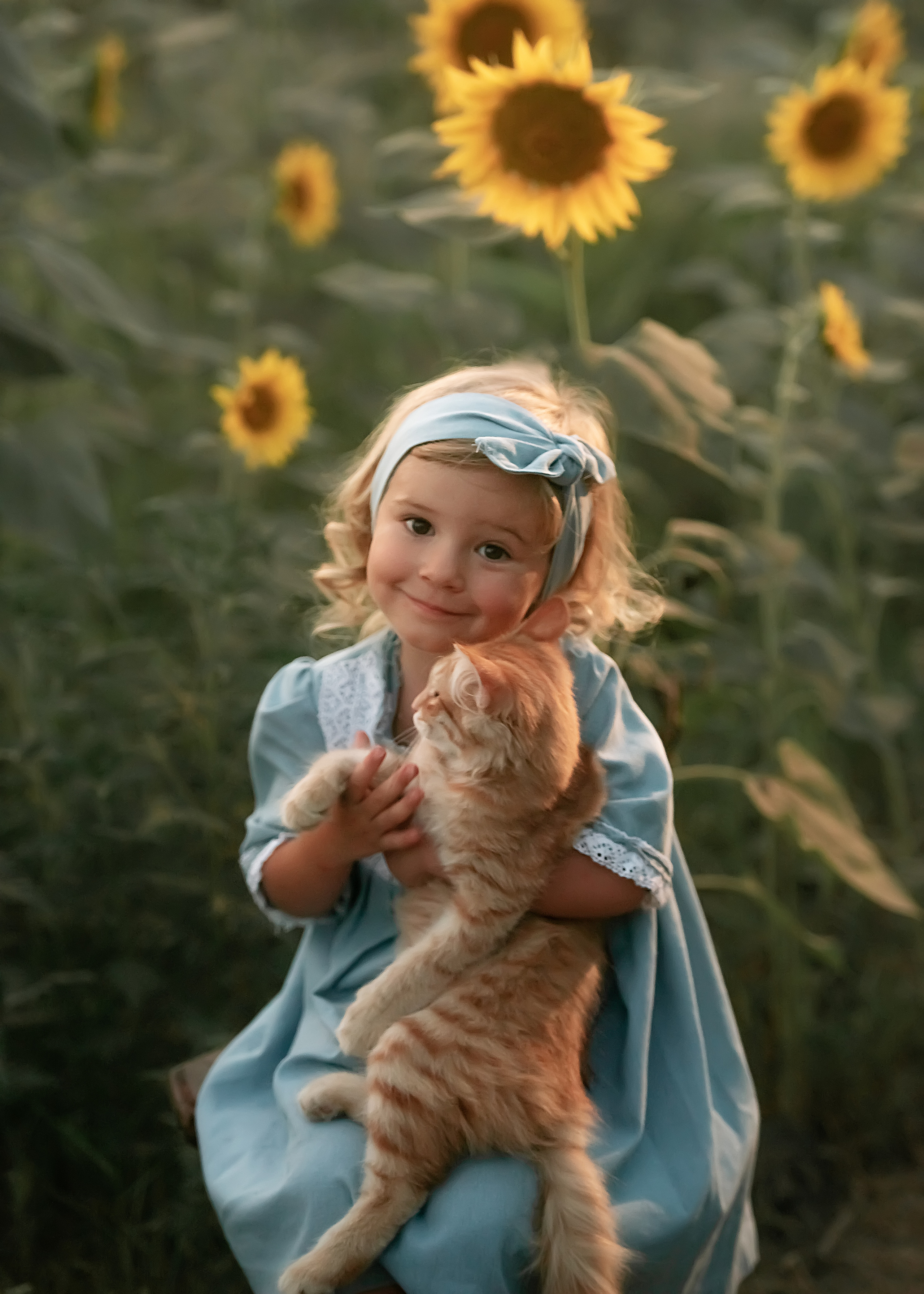 Кирочка. Подсолнухи. Семейный и детский фотограф в Краснодарском крае Натали Фищенко