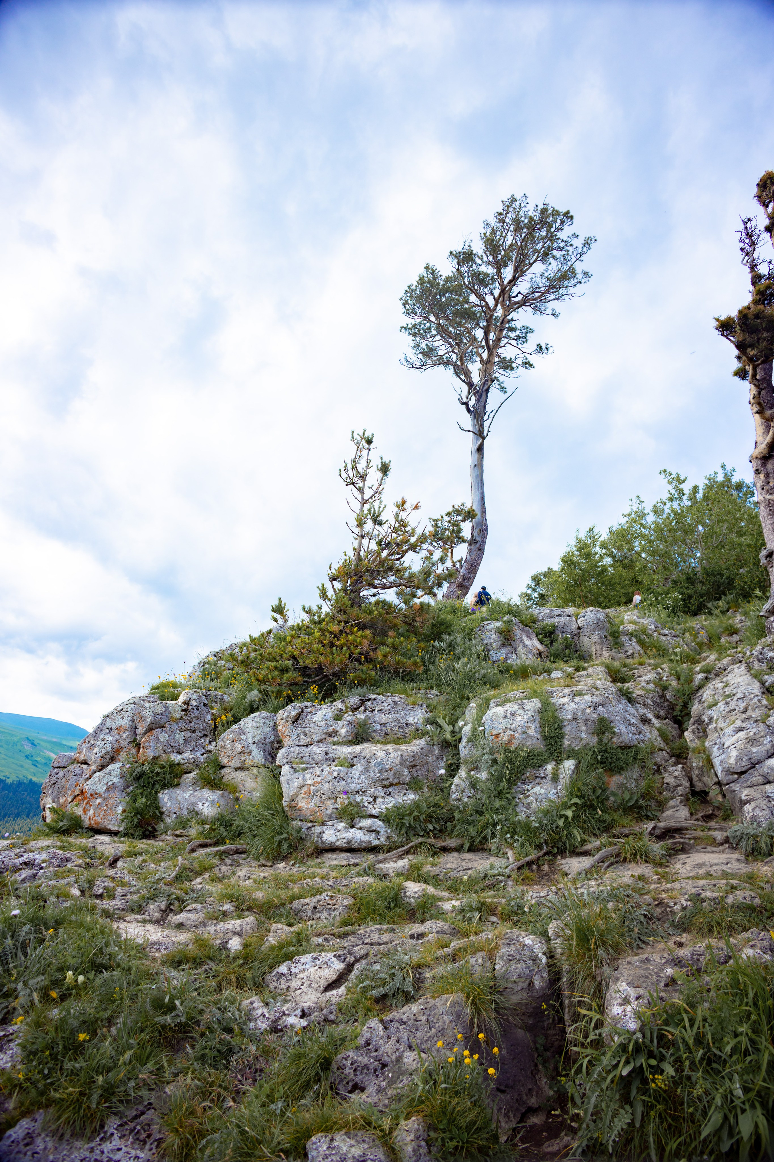 Осень. Профессиональный фотограф и видеооператор