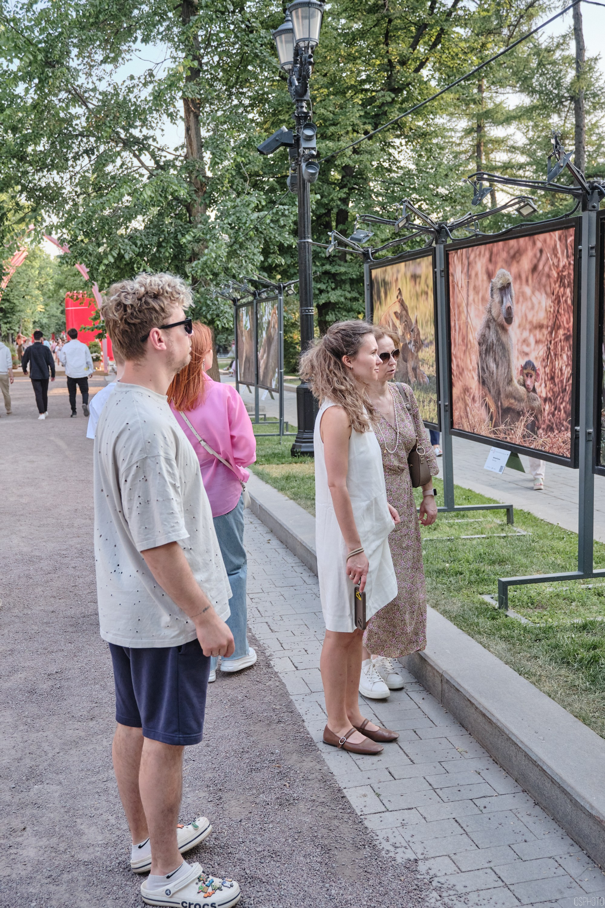 Бульвары для всех l Лето в Москве. Фотографъ Сергѣевъ. Поймать мгновеніе