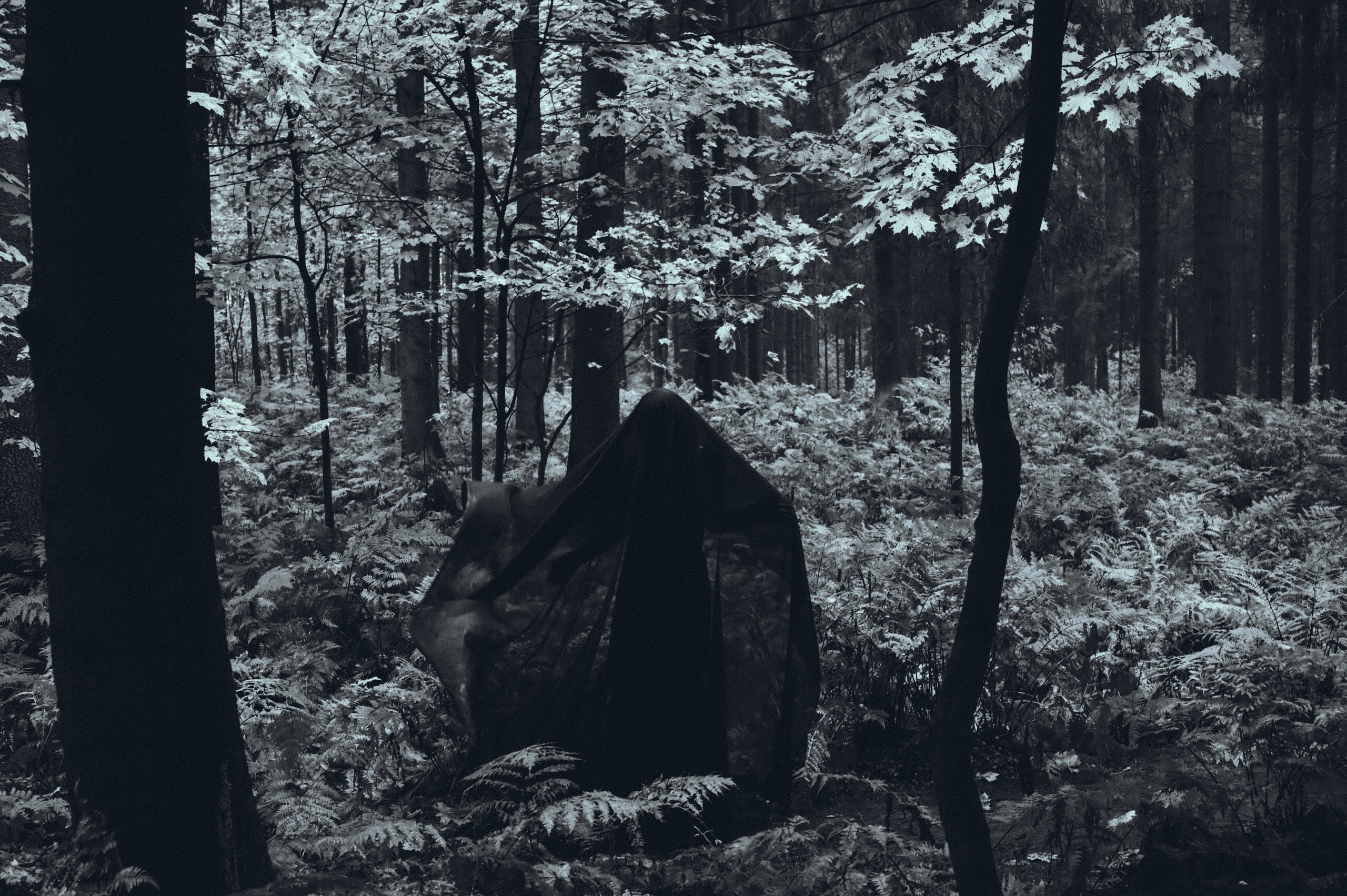 Вдохновление утренним туманом. Ваагн Малхасян | Фотограф | Санкт-Петербург. Создаю атмосферные кадры