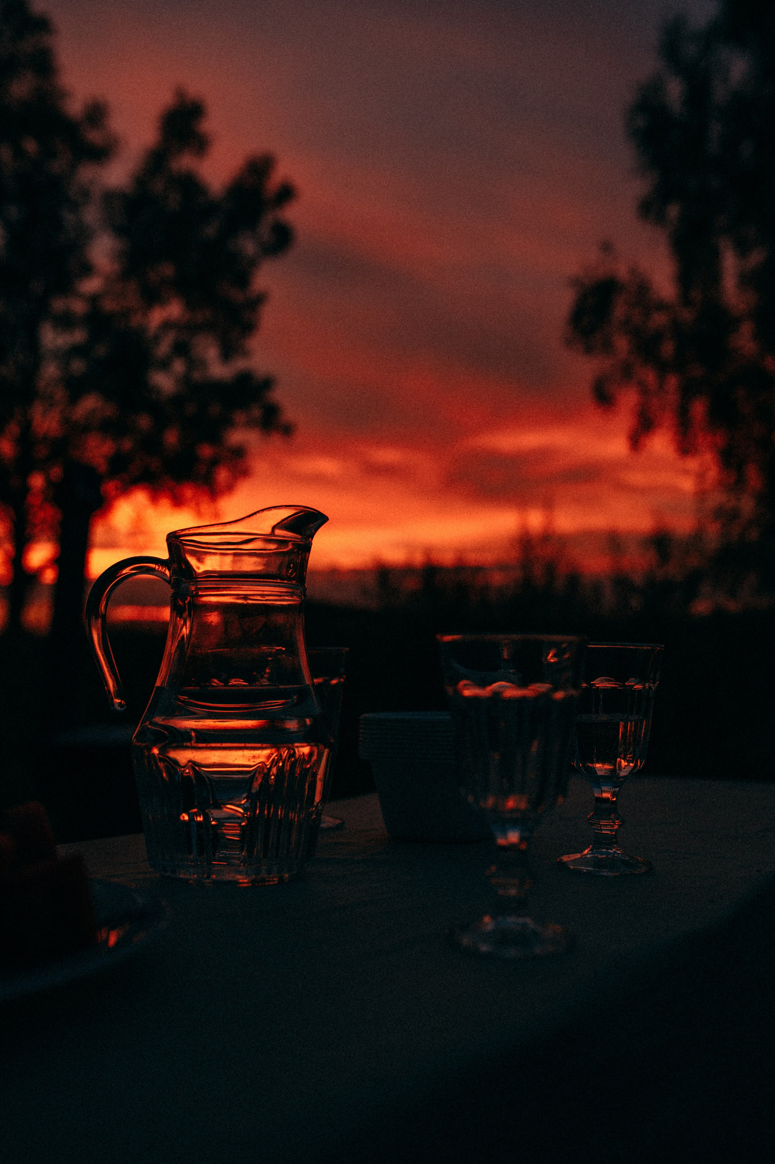 Суаре на ферме. Фотограф Светлана Васильева