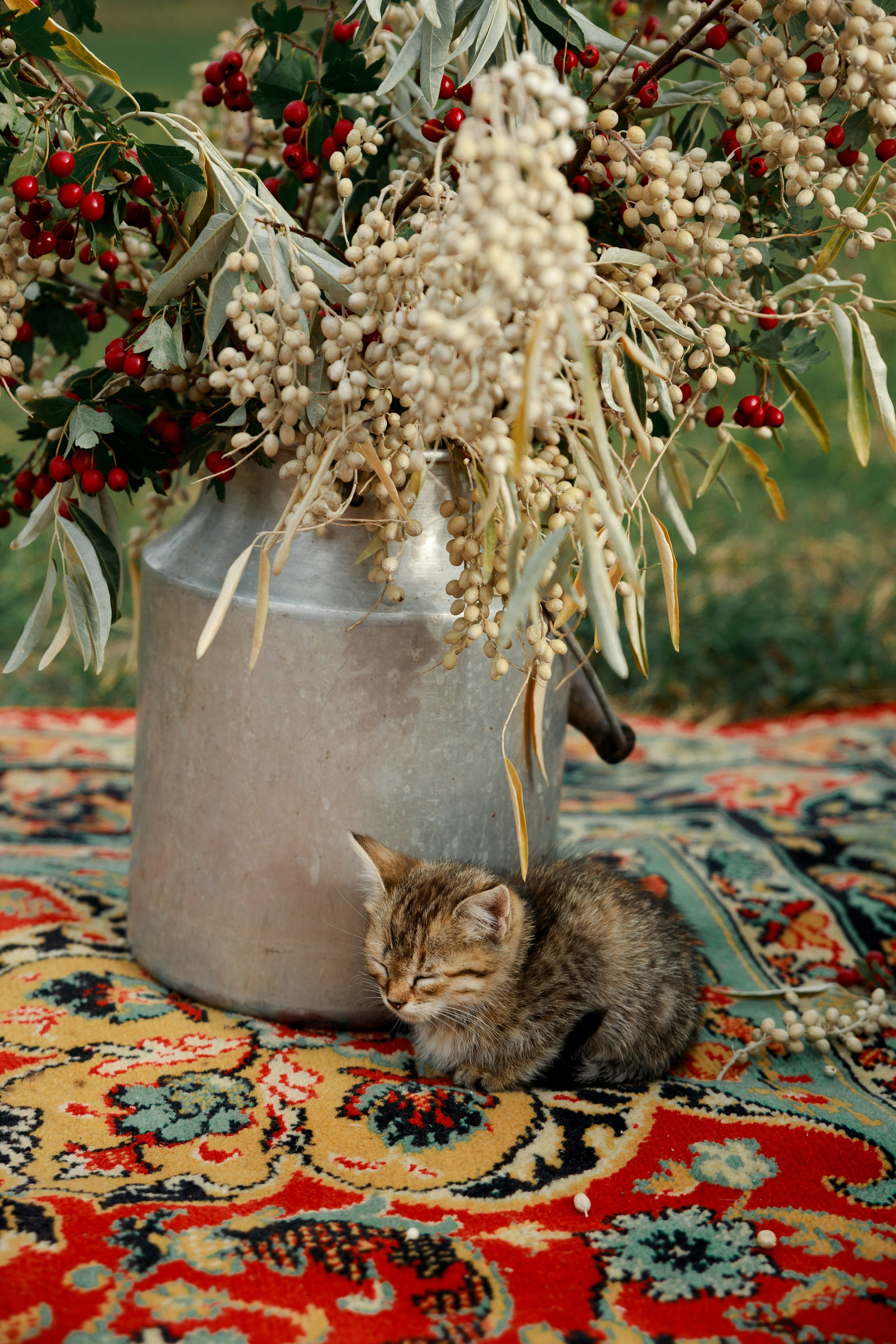 Blest & Pahnet ♡❀. Фотограф Ростов-на-Дону Свадебный Фотограф в Ростове Ксения Орлова