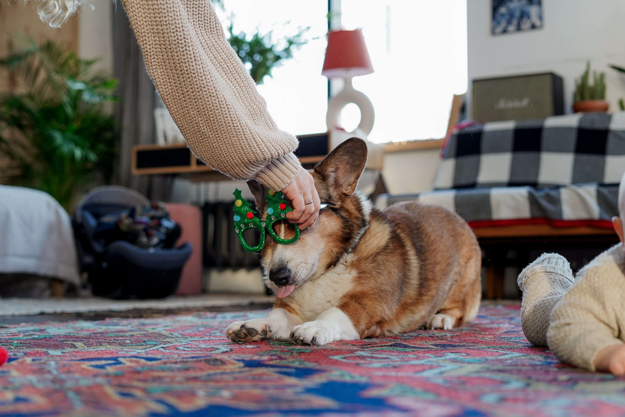 Фотограф Оля Чик