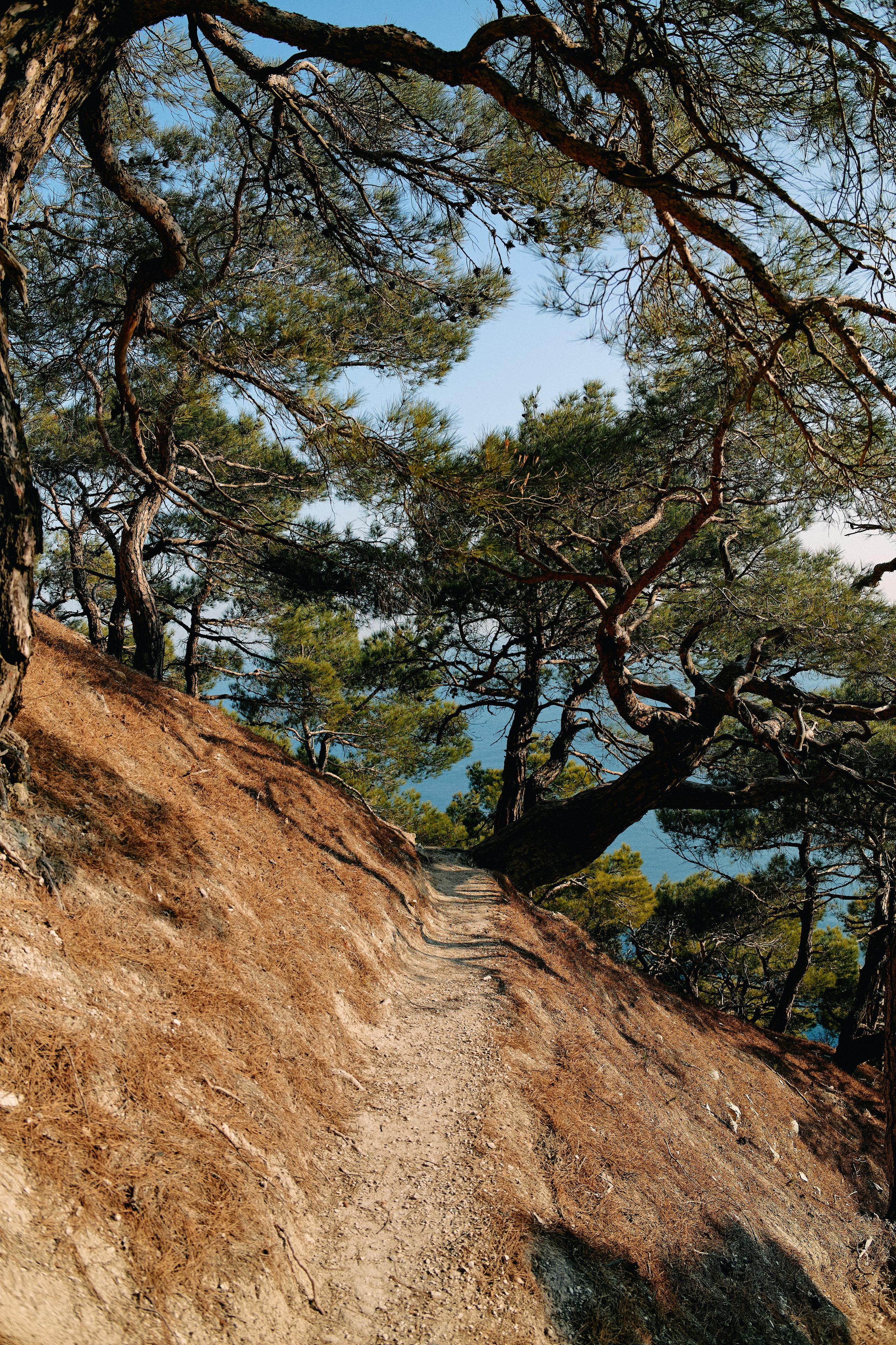 Юг России. Профессиональный Фотограф во Владимире, в Москве и в Суздале — Полина Романычева