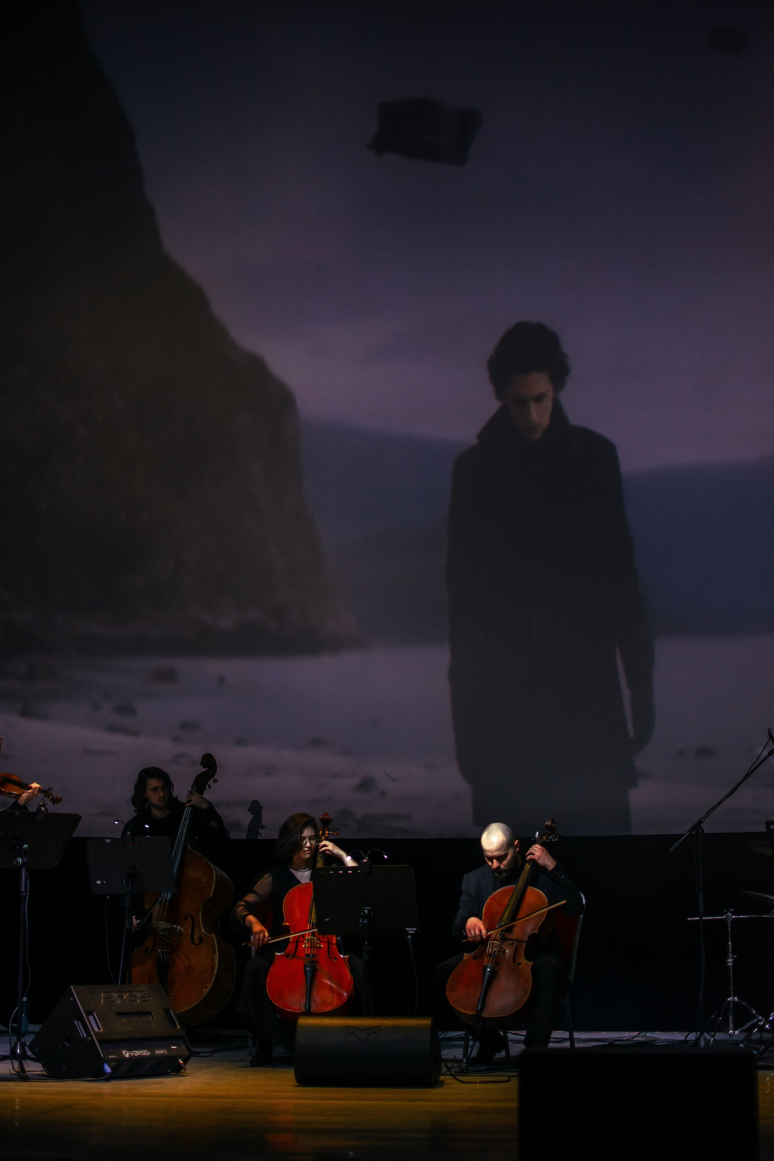 Концерт оркестра Cinematica. Репортажный фотограф в Новосибирске