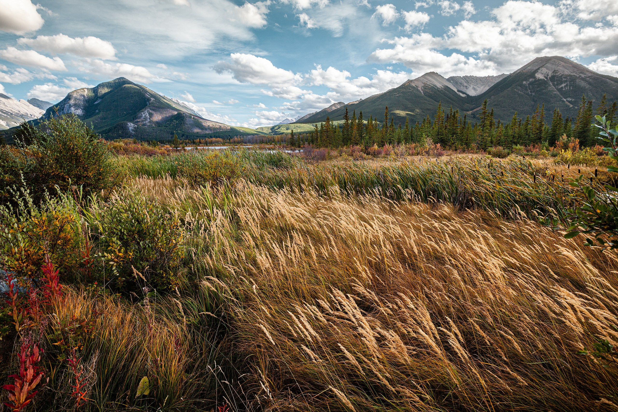 Канада. Фотограф Владимир Медведев
