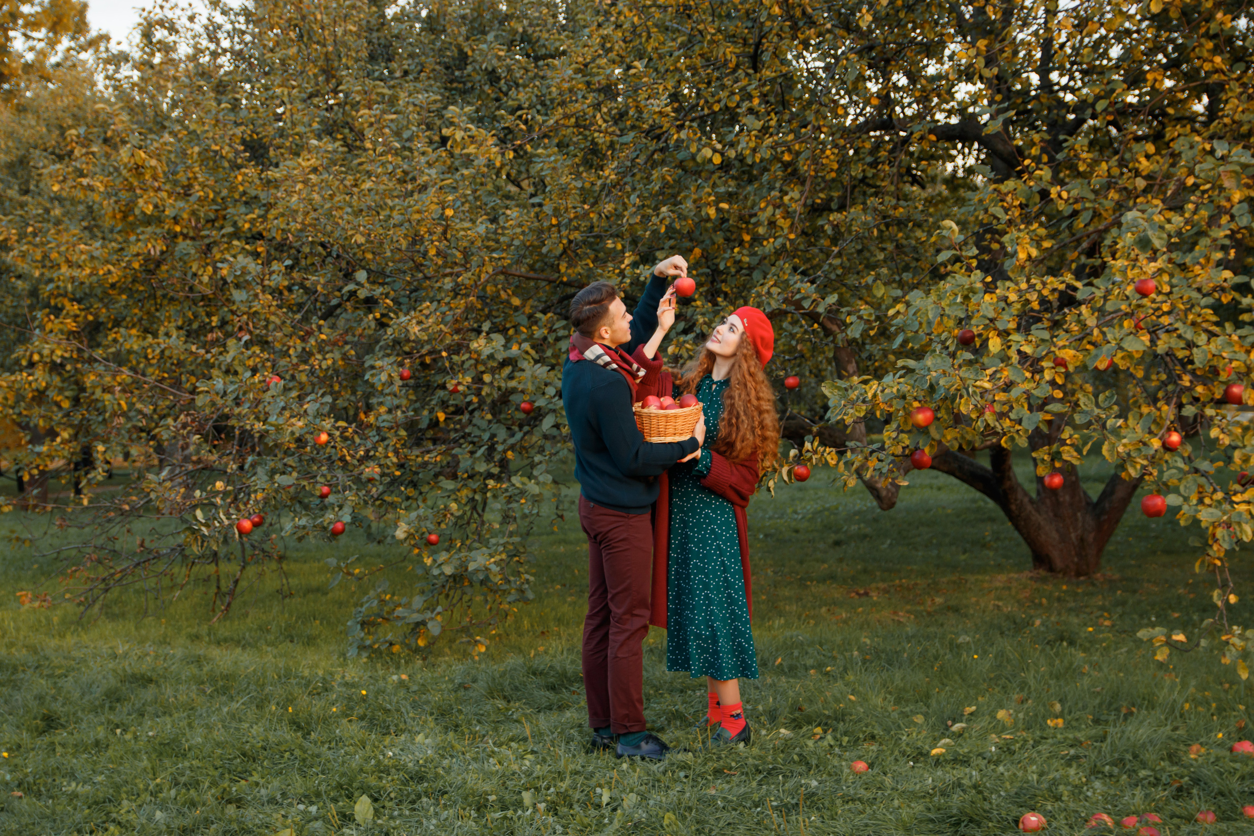 Осенние Яблони. Женский и семейный фотограф в Москве и Московской области Наталья Минт