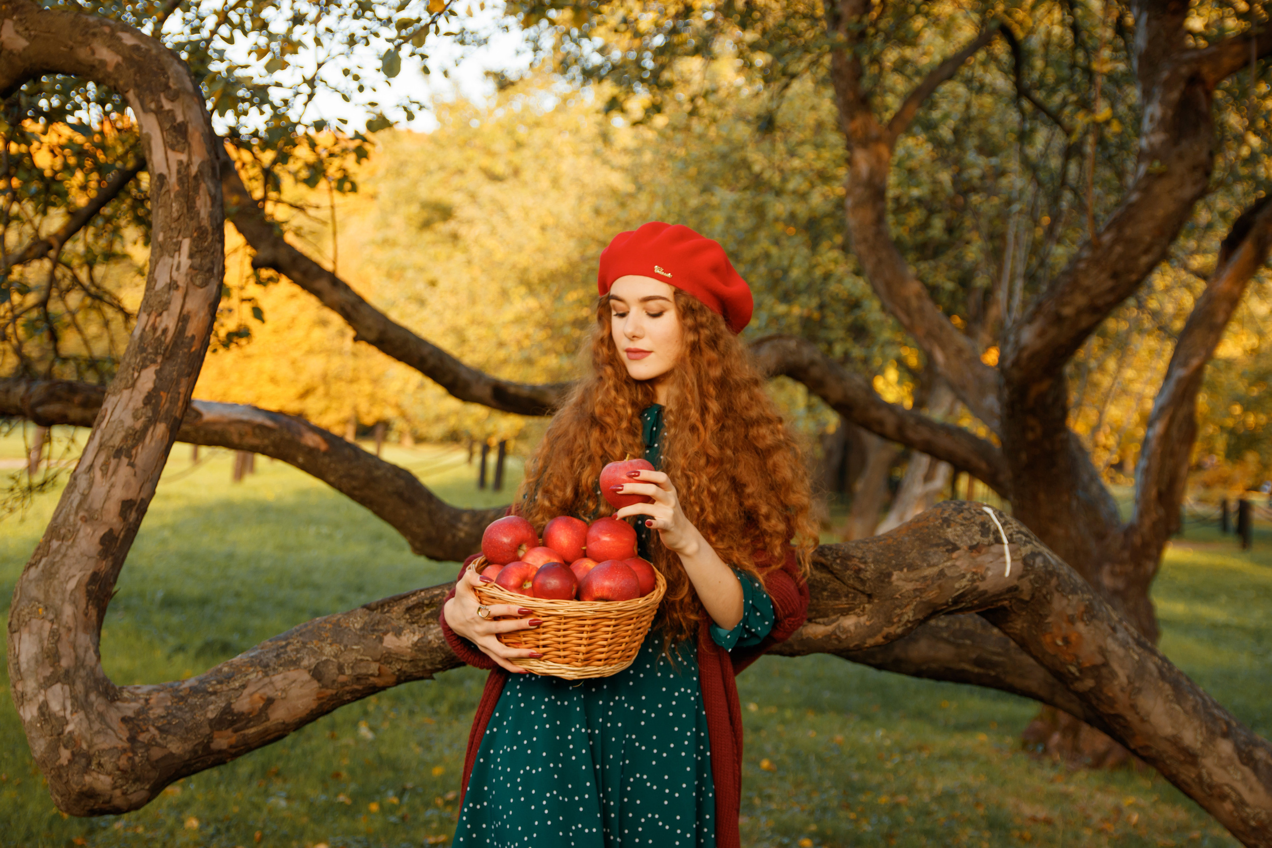Осенние Яблони. Женский и семейный фотограф в Москве и Московской области Наталья Минт