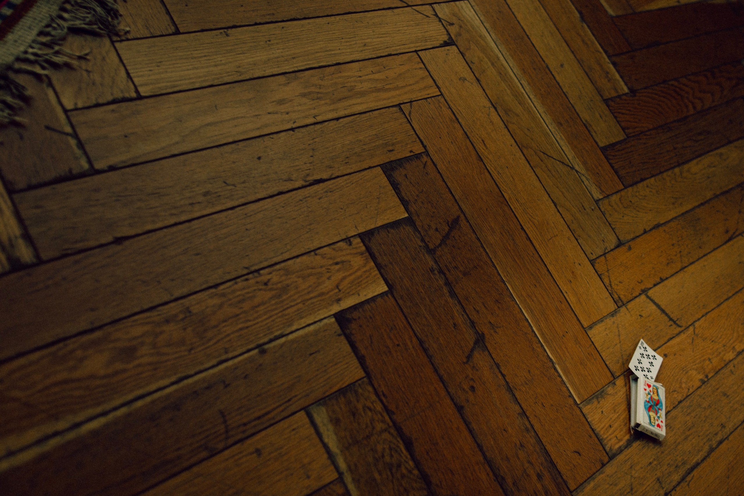 Винил на двоих. Варвара Синицына: семейный фотограф в Москве