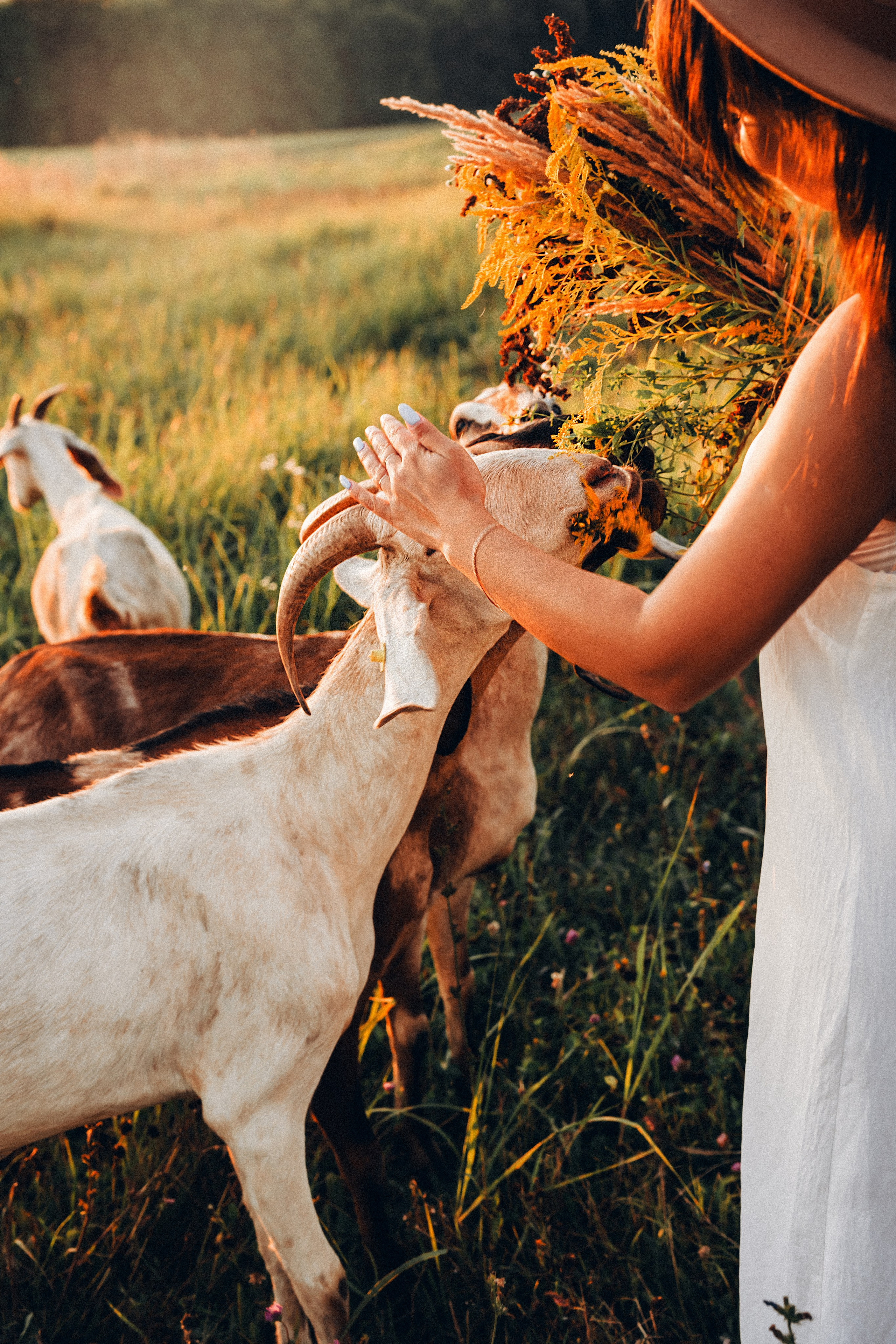 Семейная съемка на закате