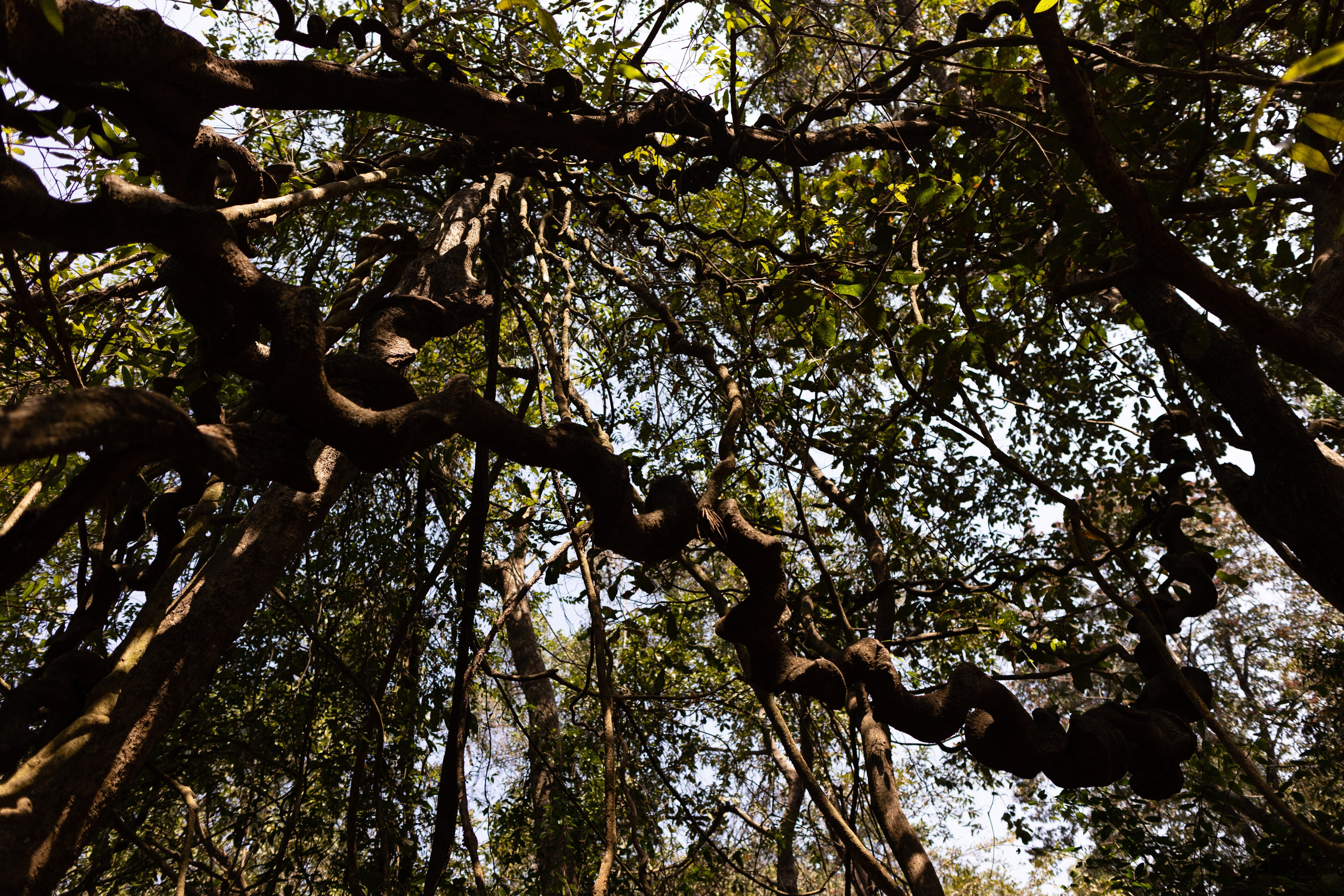 ГОА 2024. Руслан Плахтеев