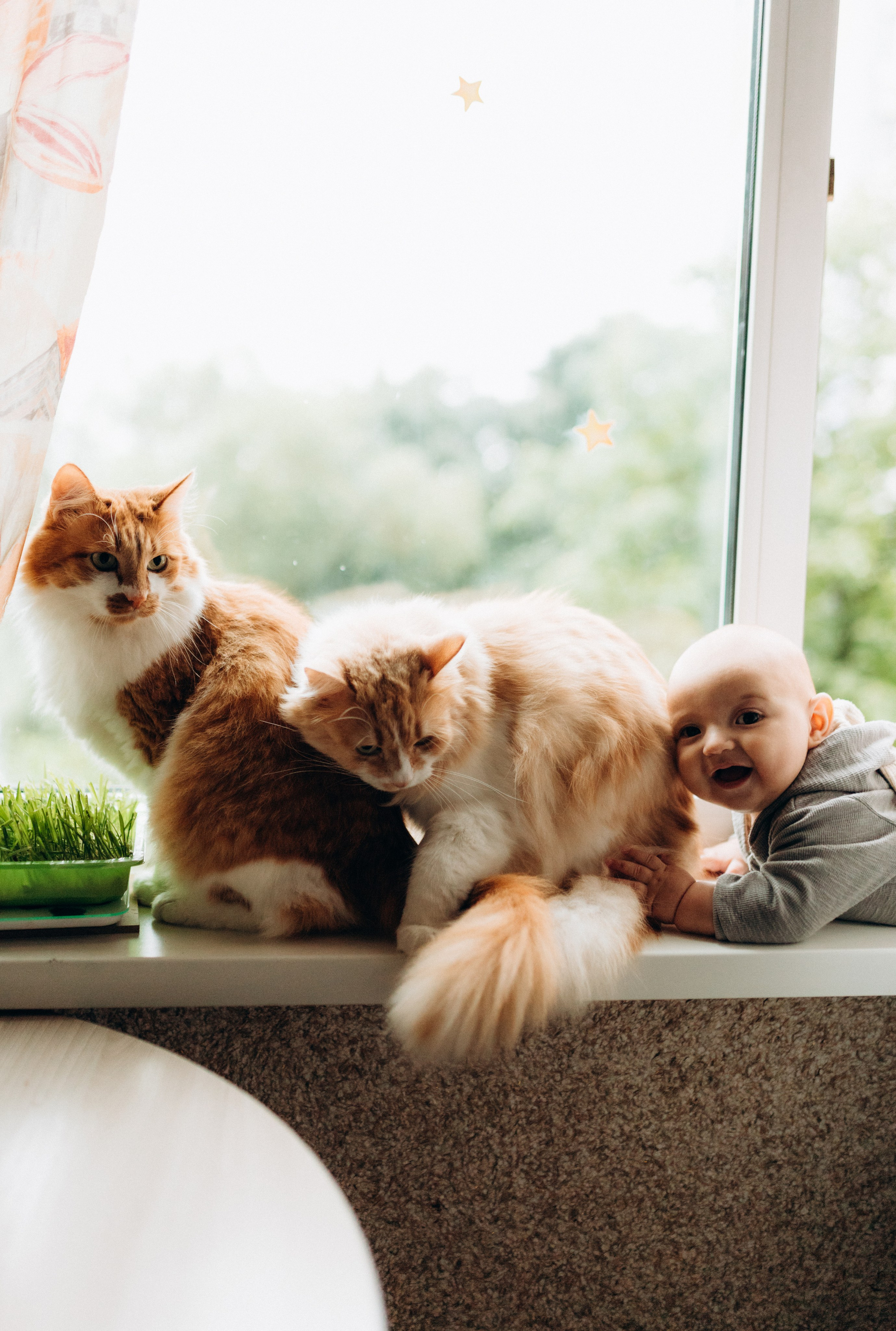 Дома с малышами. Семейный и парный фотограф Мария Куцко