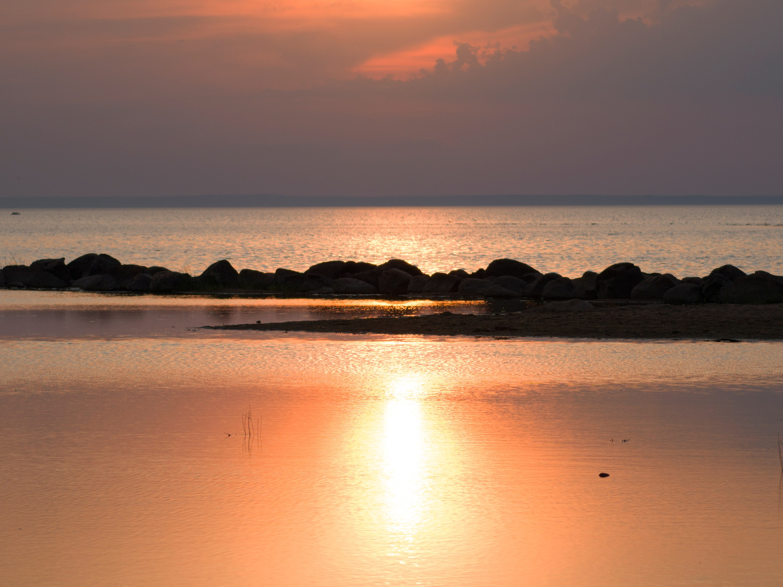 Природа и животные. Творческий фотограф Ирина Баландина.  Санкт-Петербург, Мурманск