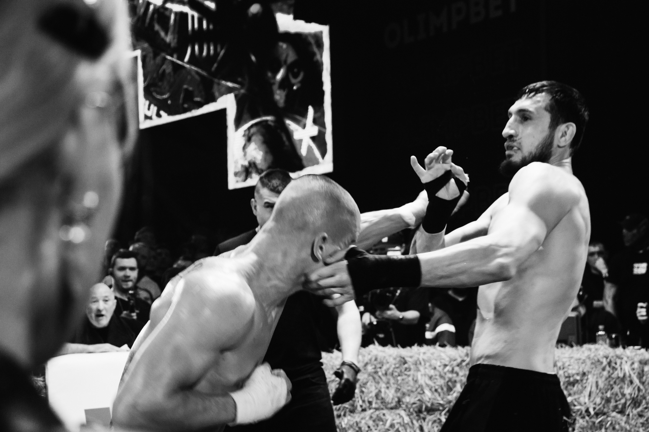 Кулачные бои TopDog. Анастасия Тен