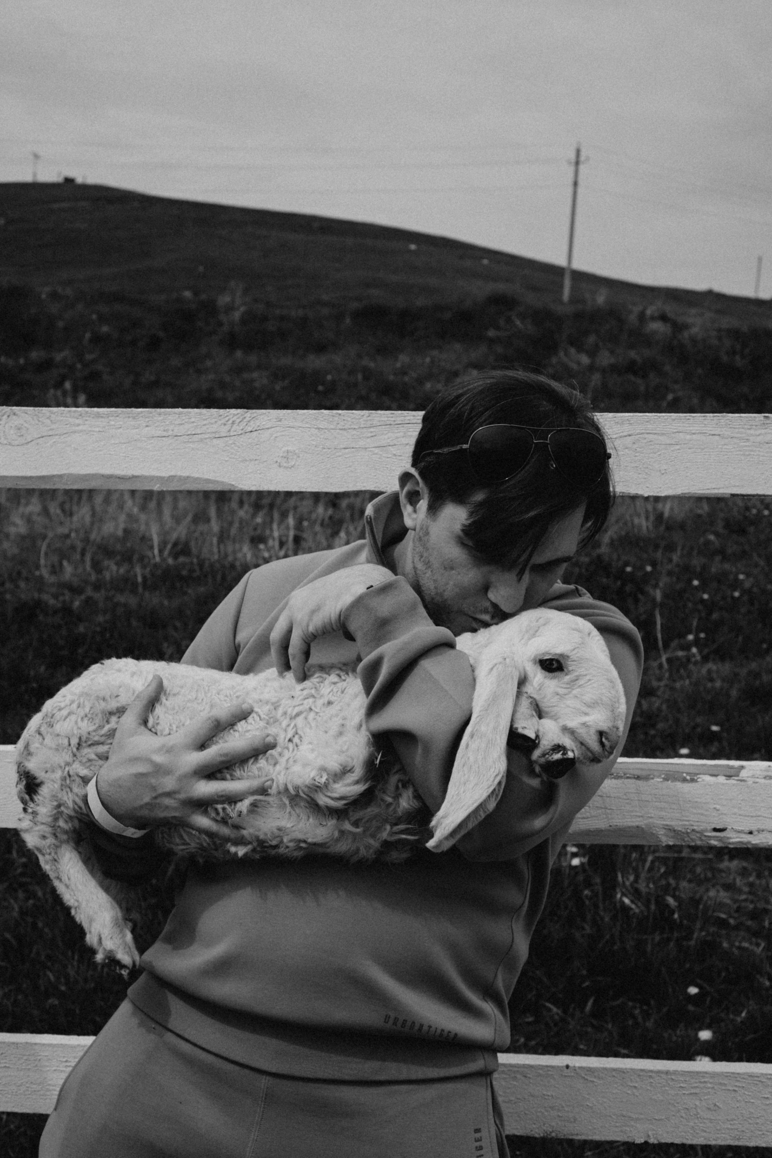 Ферма Альпак. Профессиональный фотограф, Санкт-Петербург — Виктория Богомолова