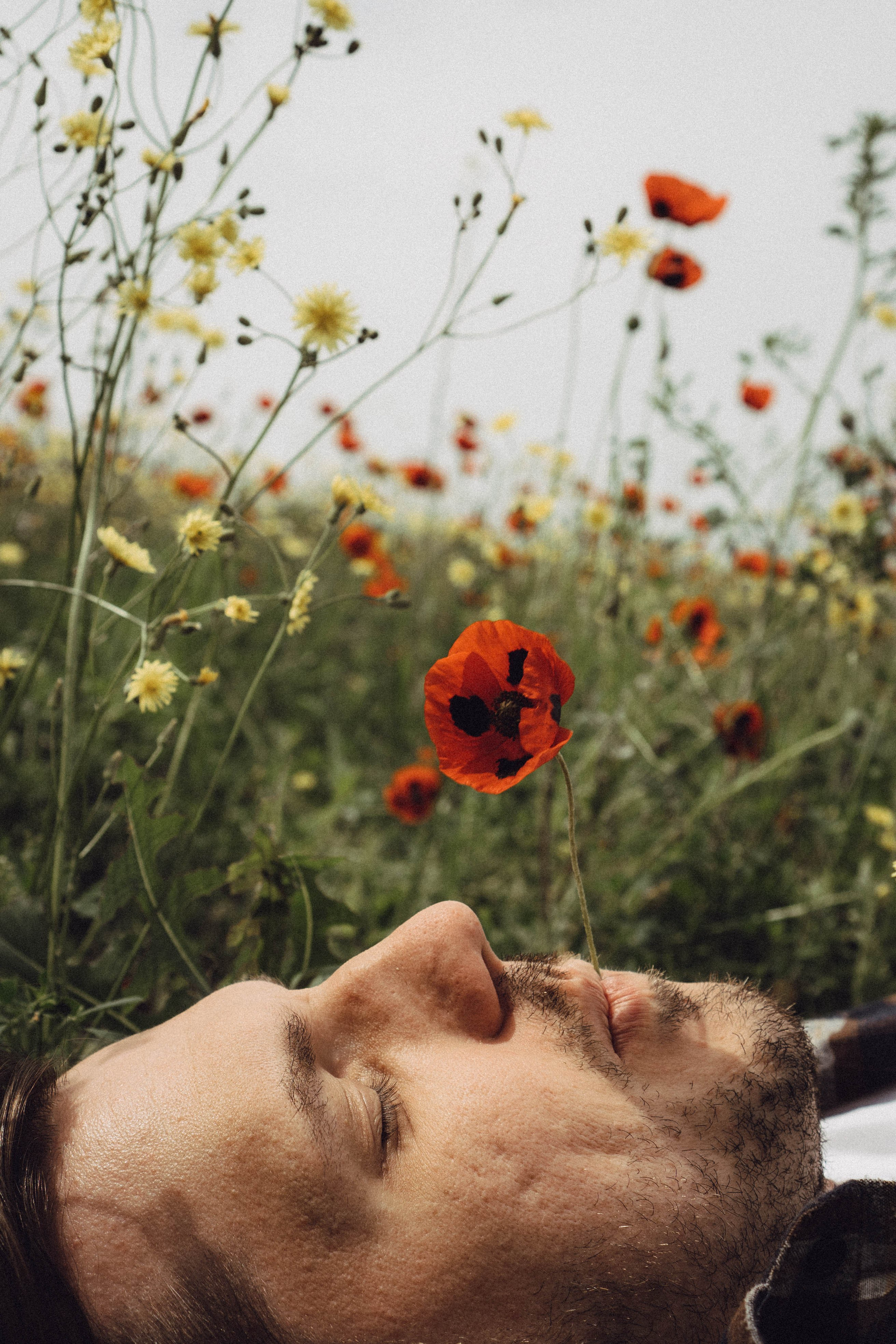 Маки. Профессиональный фотограф, Санкт-Петербург — Виктория Богомолова