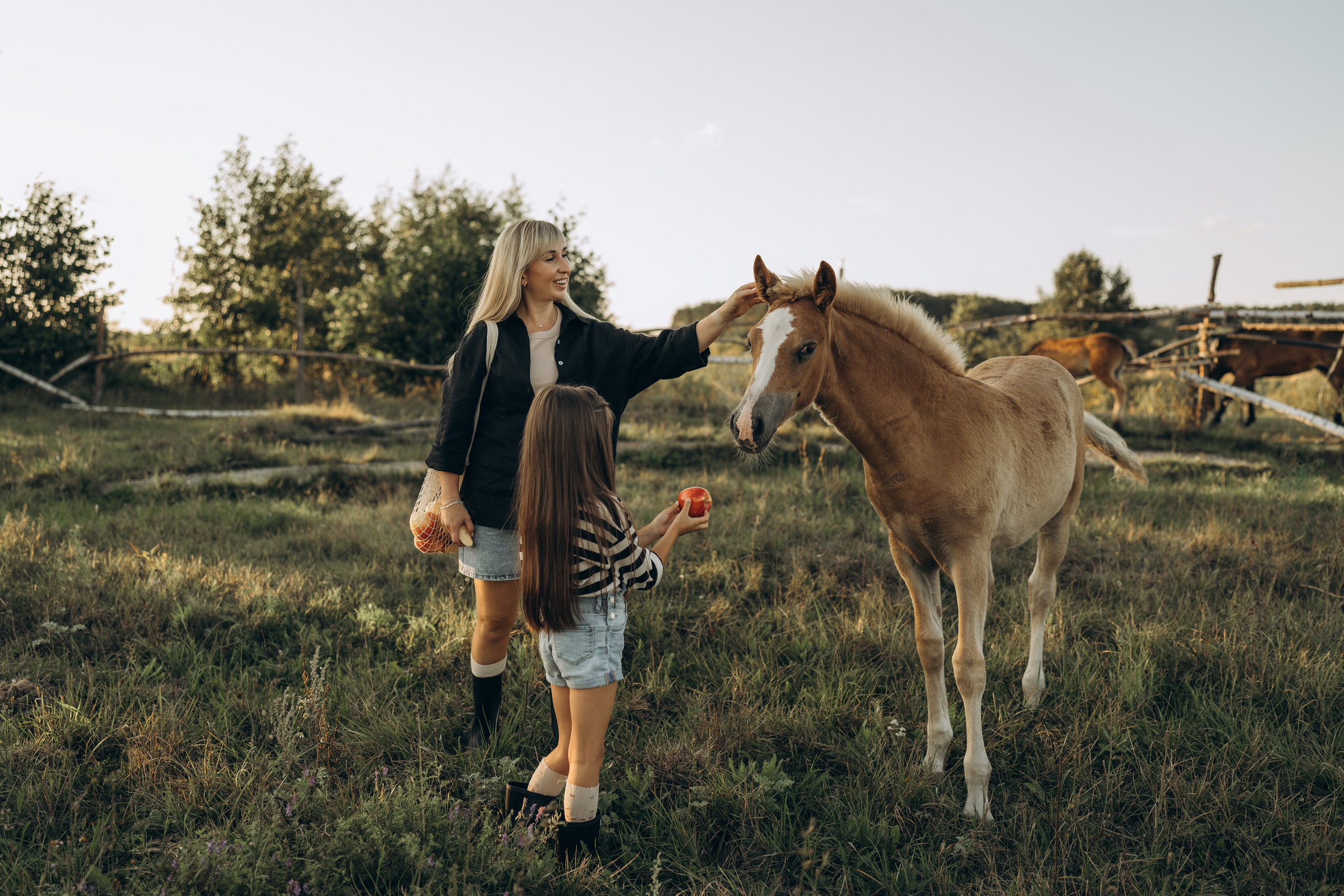 Детство, лошади, природа. Семейный фотограф Москва. Фотограф беременности и материнства Москва