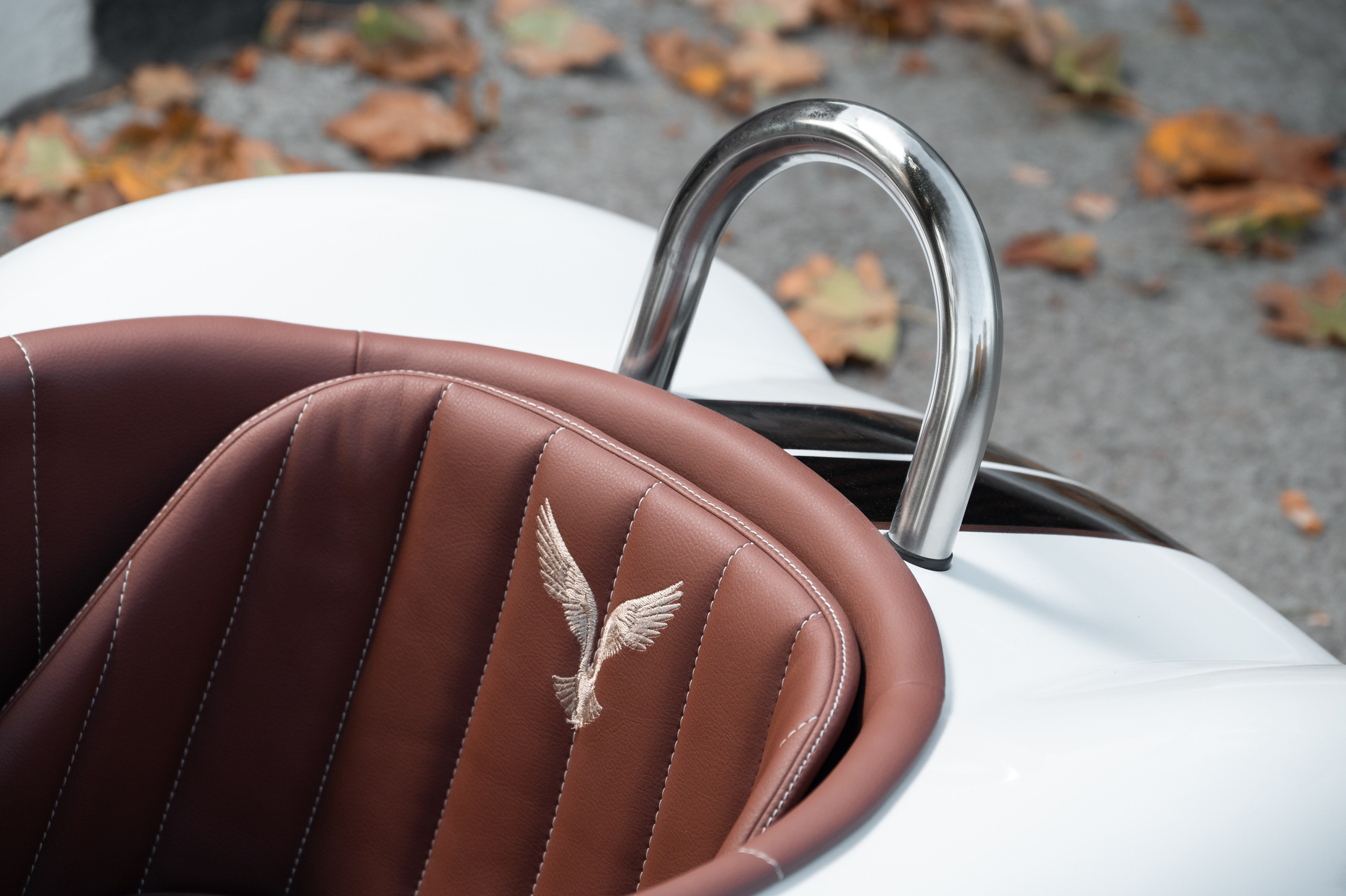 Cobra Mini. Фотограф и видеооператор в Туле | Даниил Рыбак