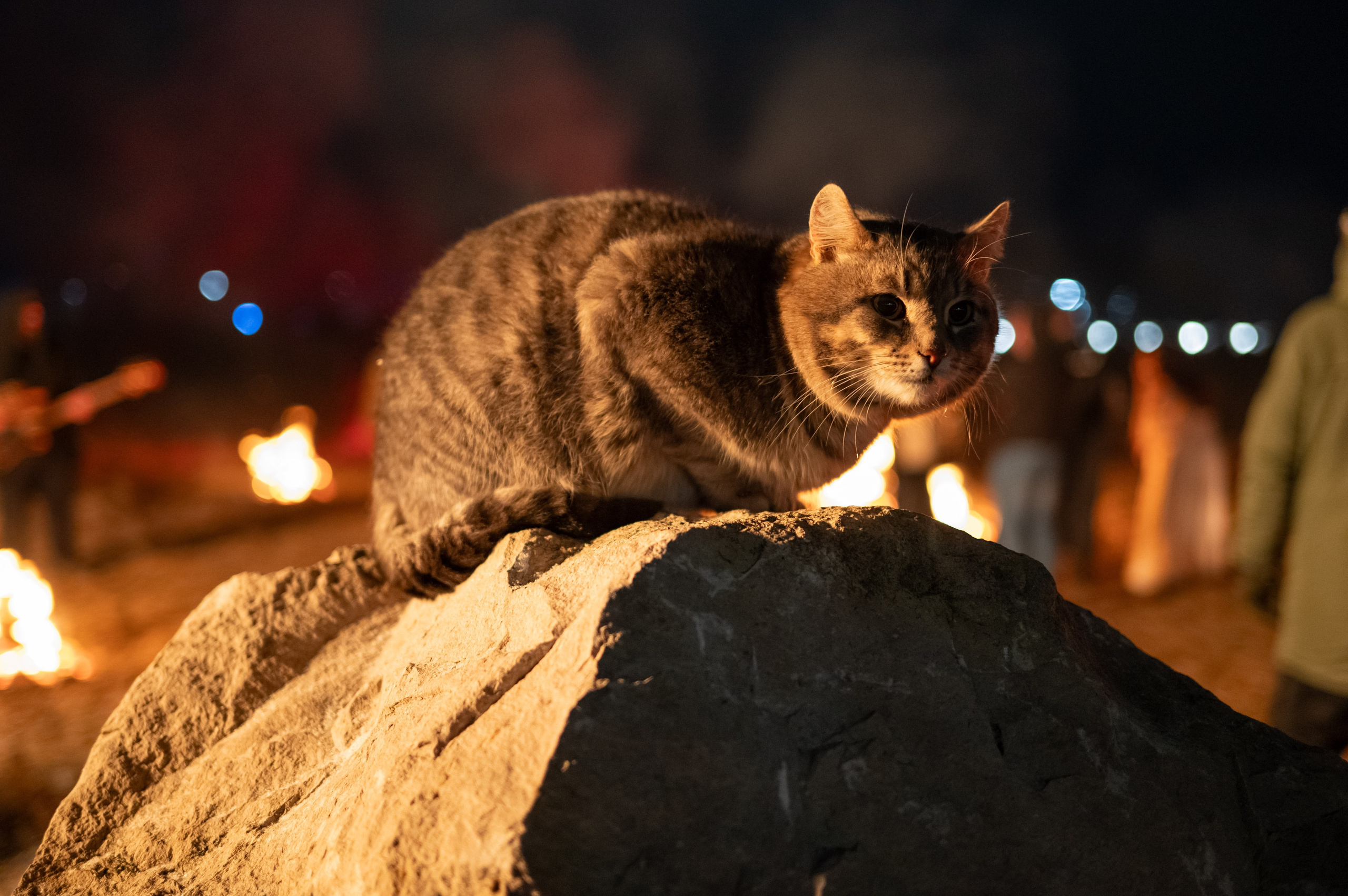 Съёмки клипа группы Salvador. Фотограф и видеооператор в Туле | Даниил Рыбак