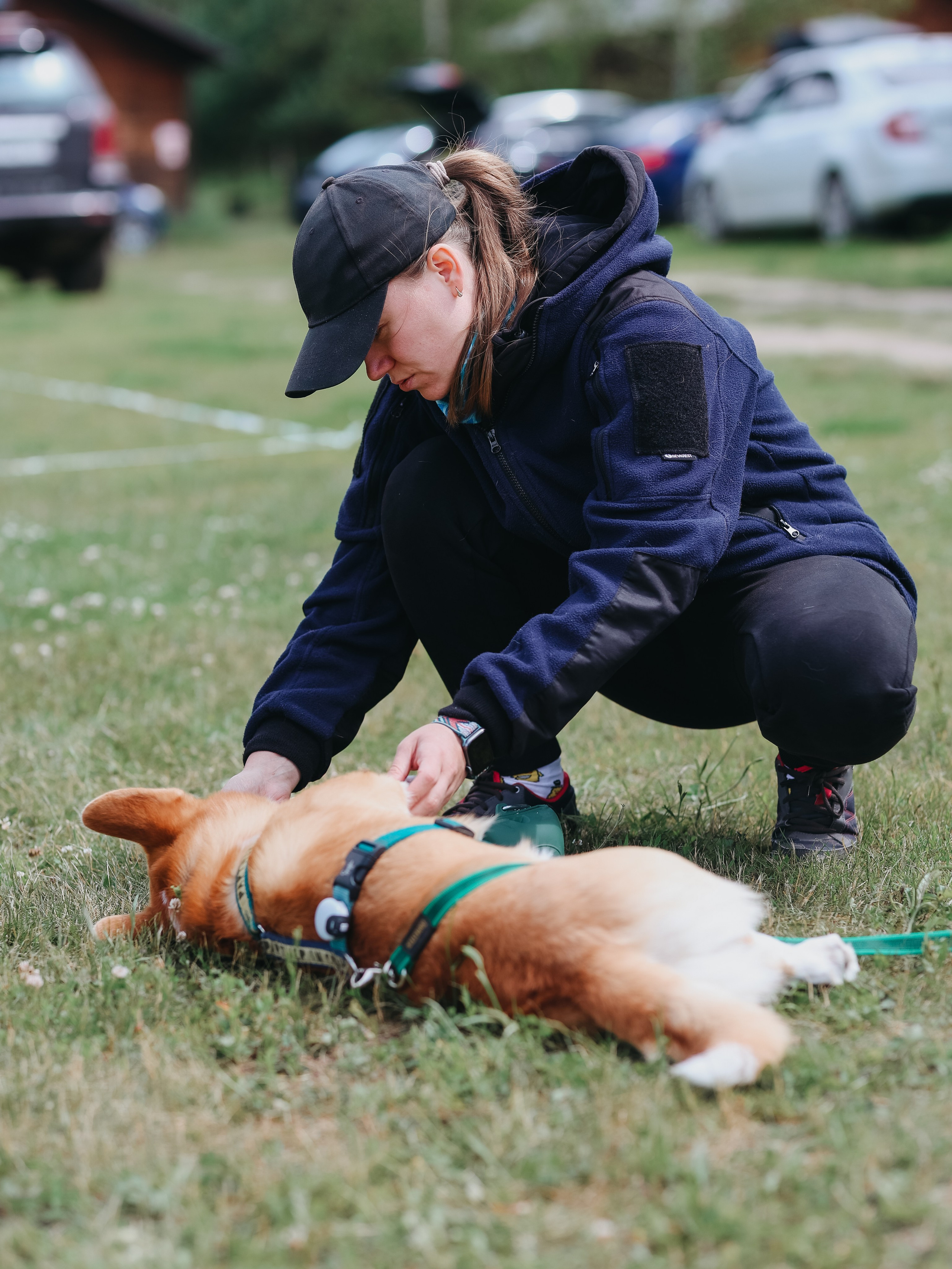 Лагерь ноузворк. Фотограф-анималист в Москве Кириллова Татьяна