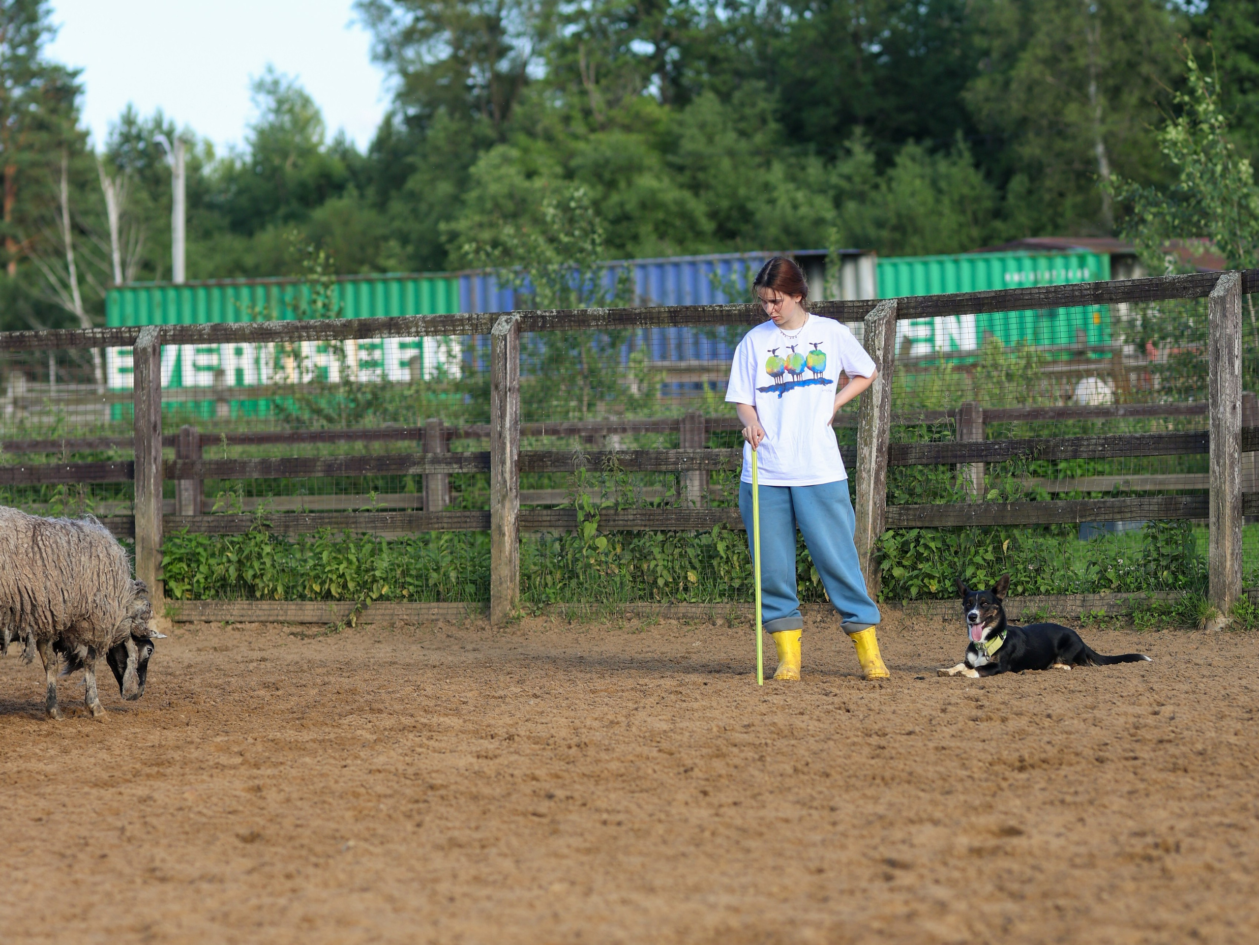 Пастьба. Фотограф-анималист в Москве Кириллова Татьяна