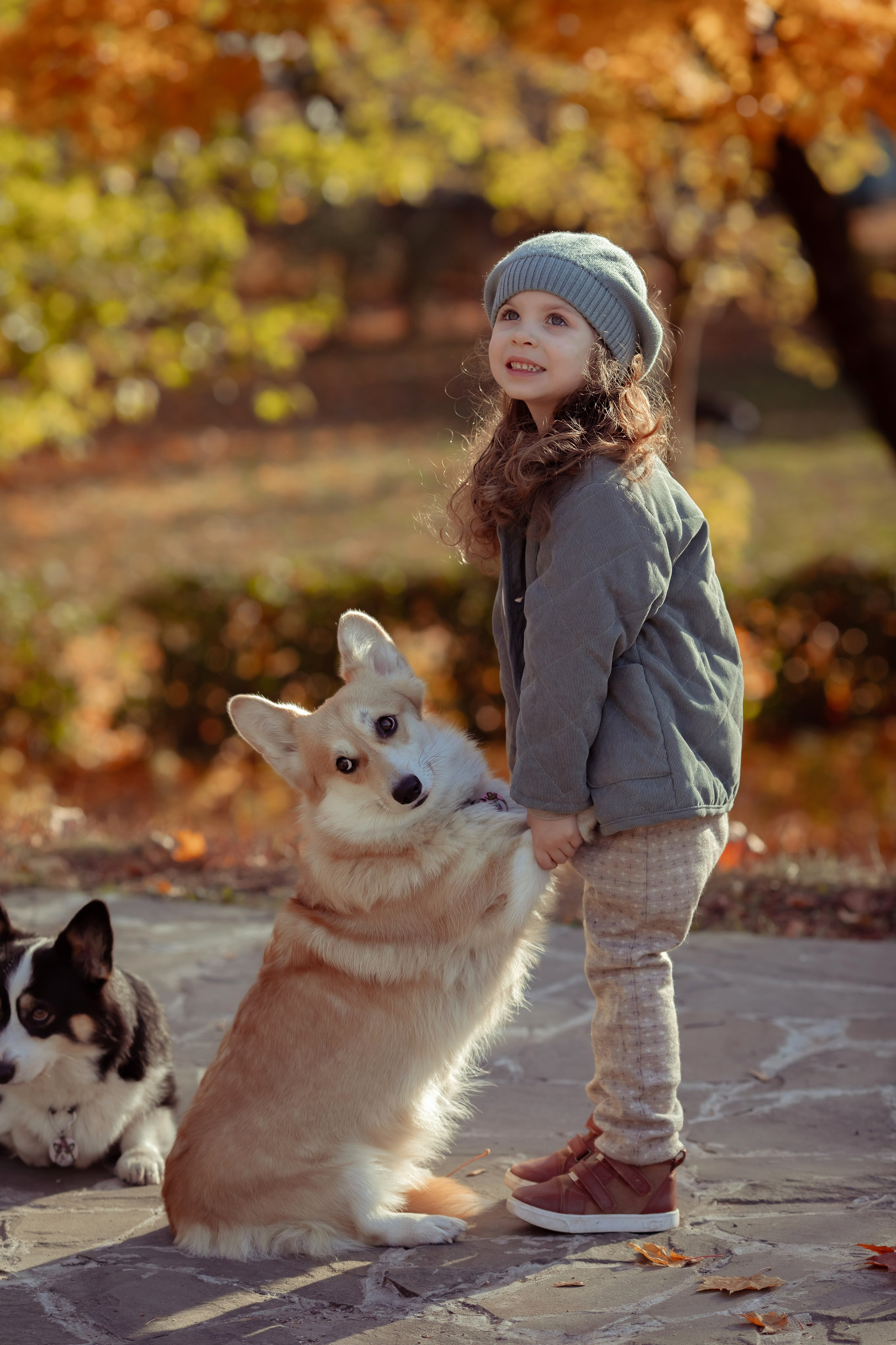 Эва с корги. Семейный и детский фотограф в Москве Дорогова Екатерина