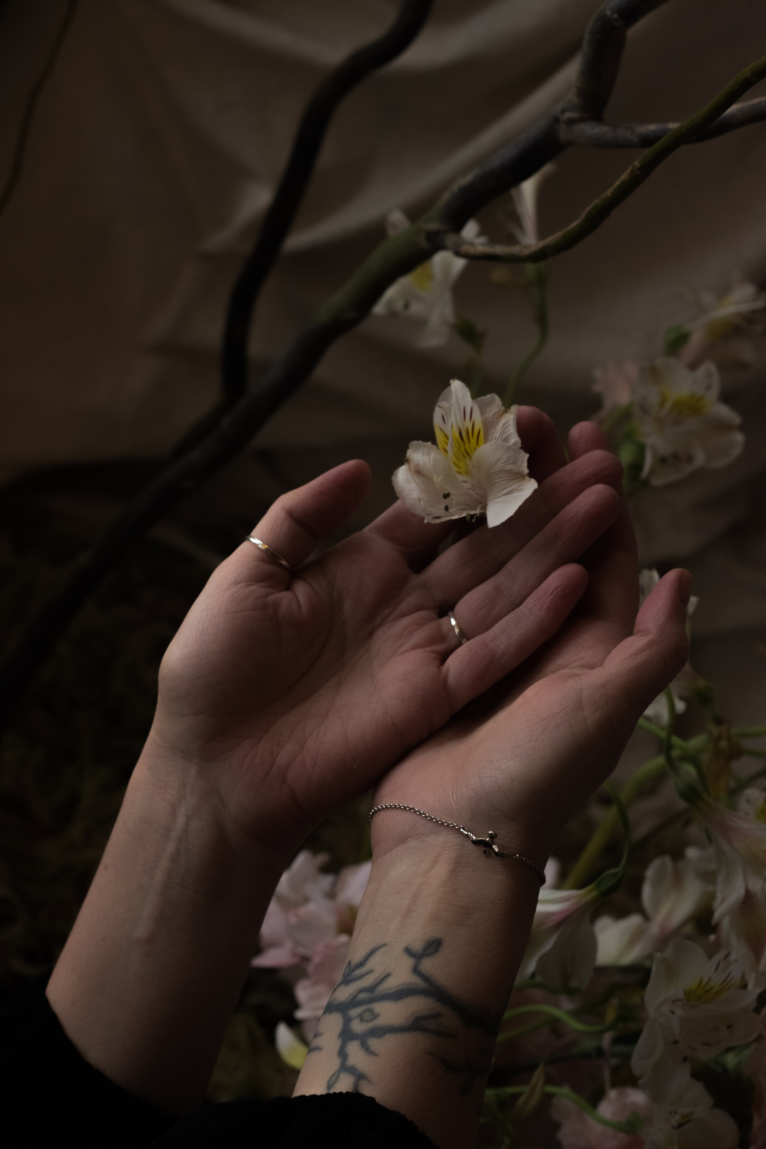 Райский сад. Фотограф в Санкт-Петербурге Головина Анастасия