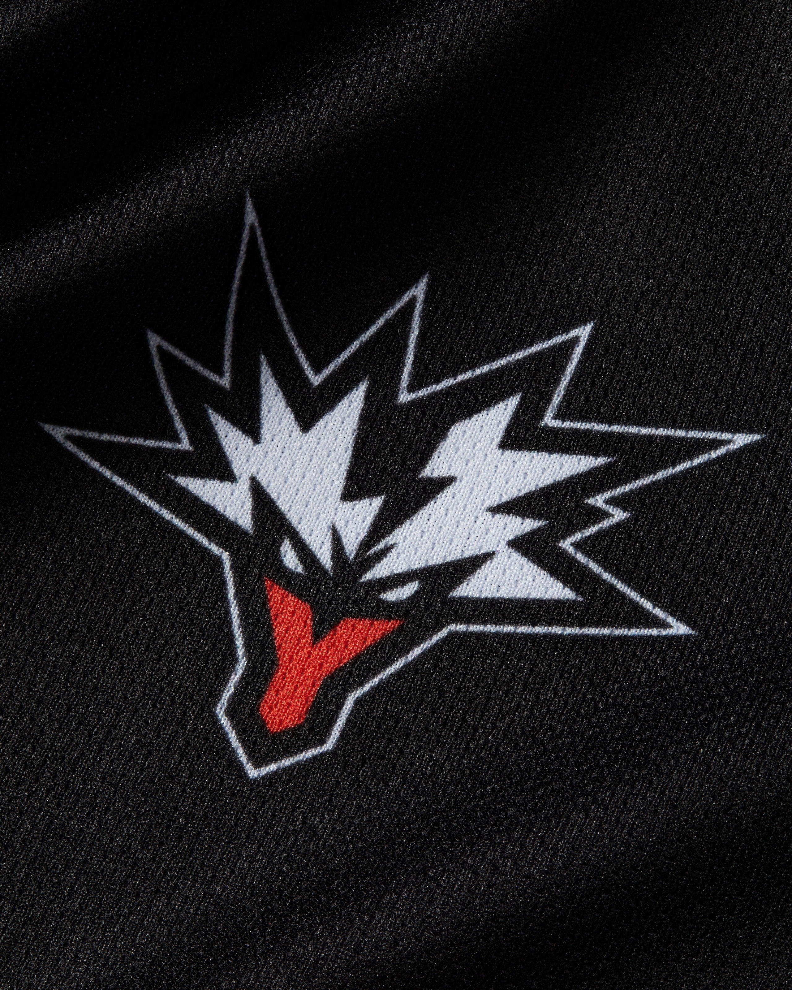 Командное джерси Team Yandex. Олег Дмитриев