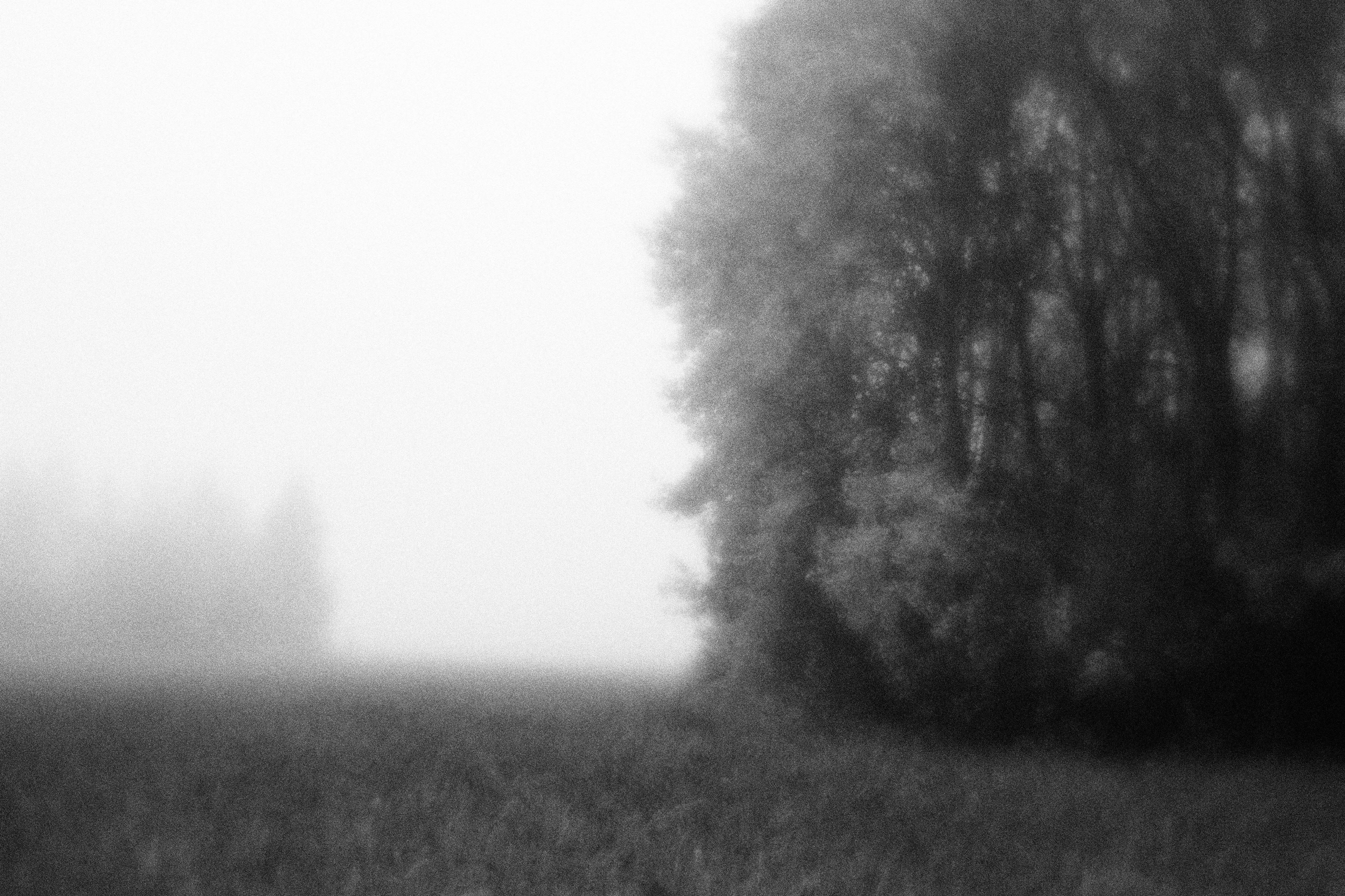 Внутривенные сны (2023)