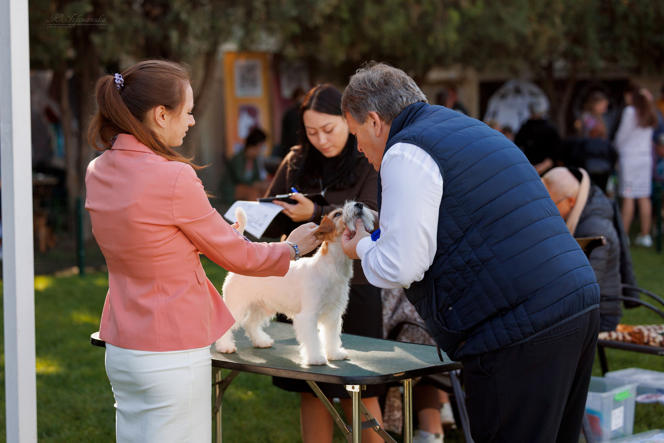 Бишкек 3х CACIB 26-28.09.2025. Фотограф-анималист Юлия Германика