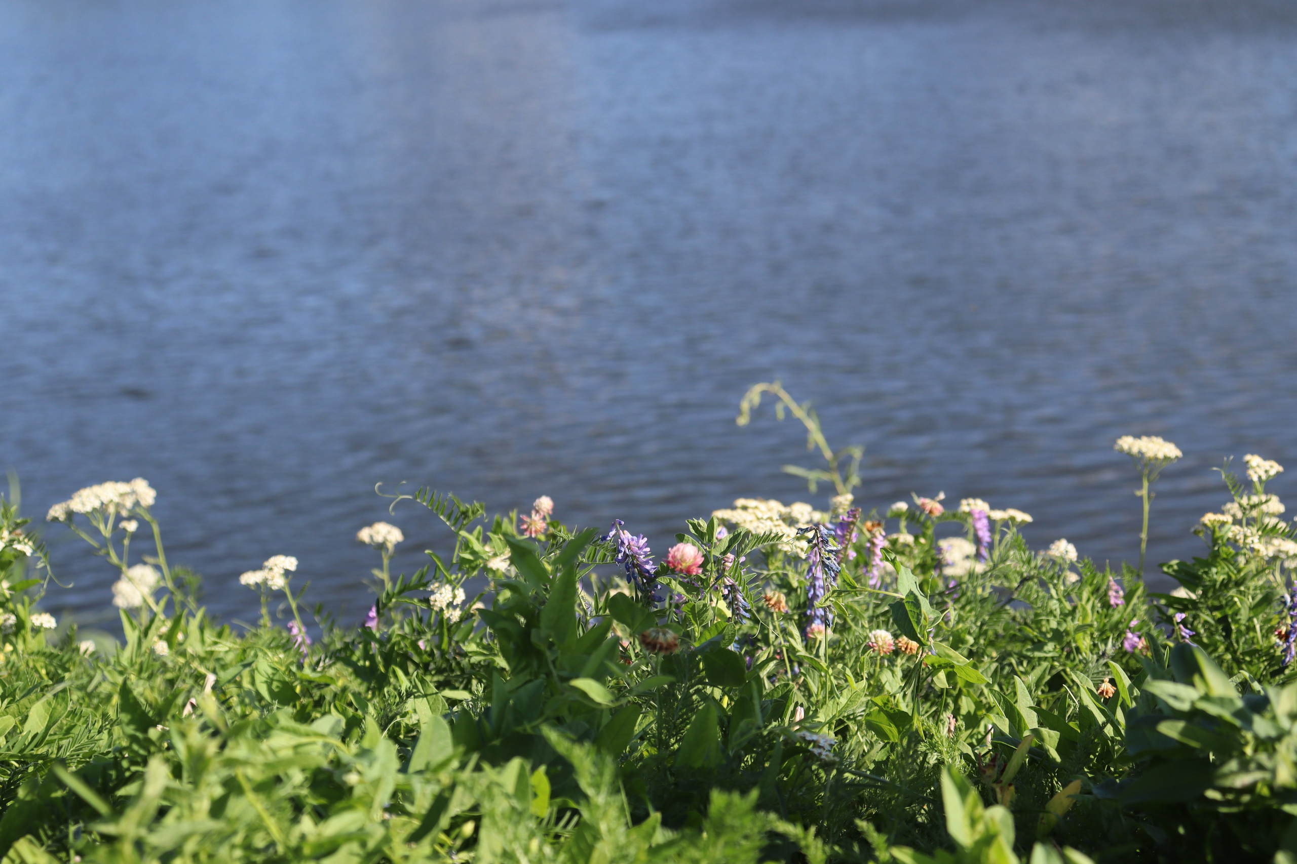 По Москва-Реке. Фотограф