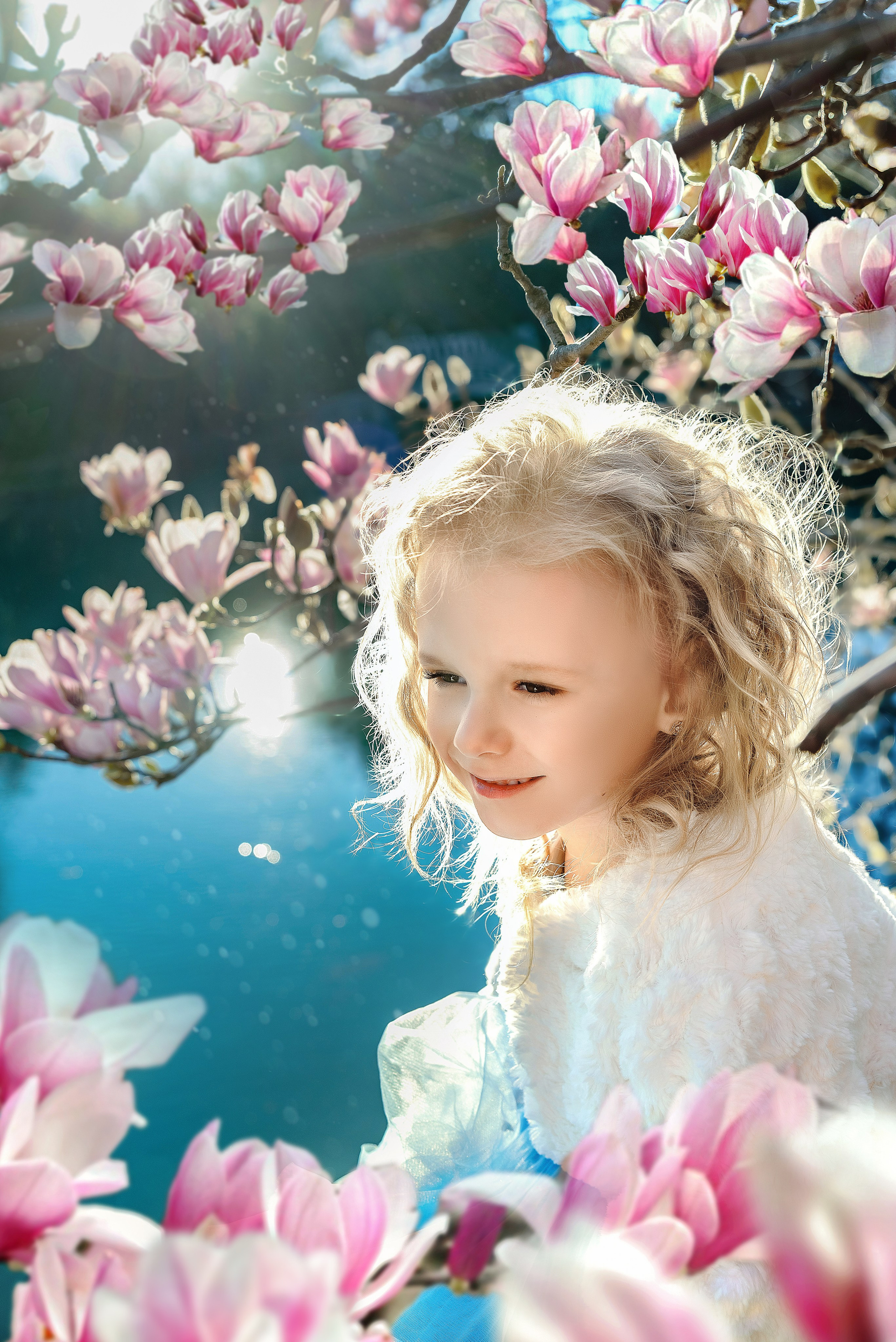 Цветение Магнолии. Фотограф в Москве Lidiya_Li_Photo